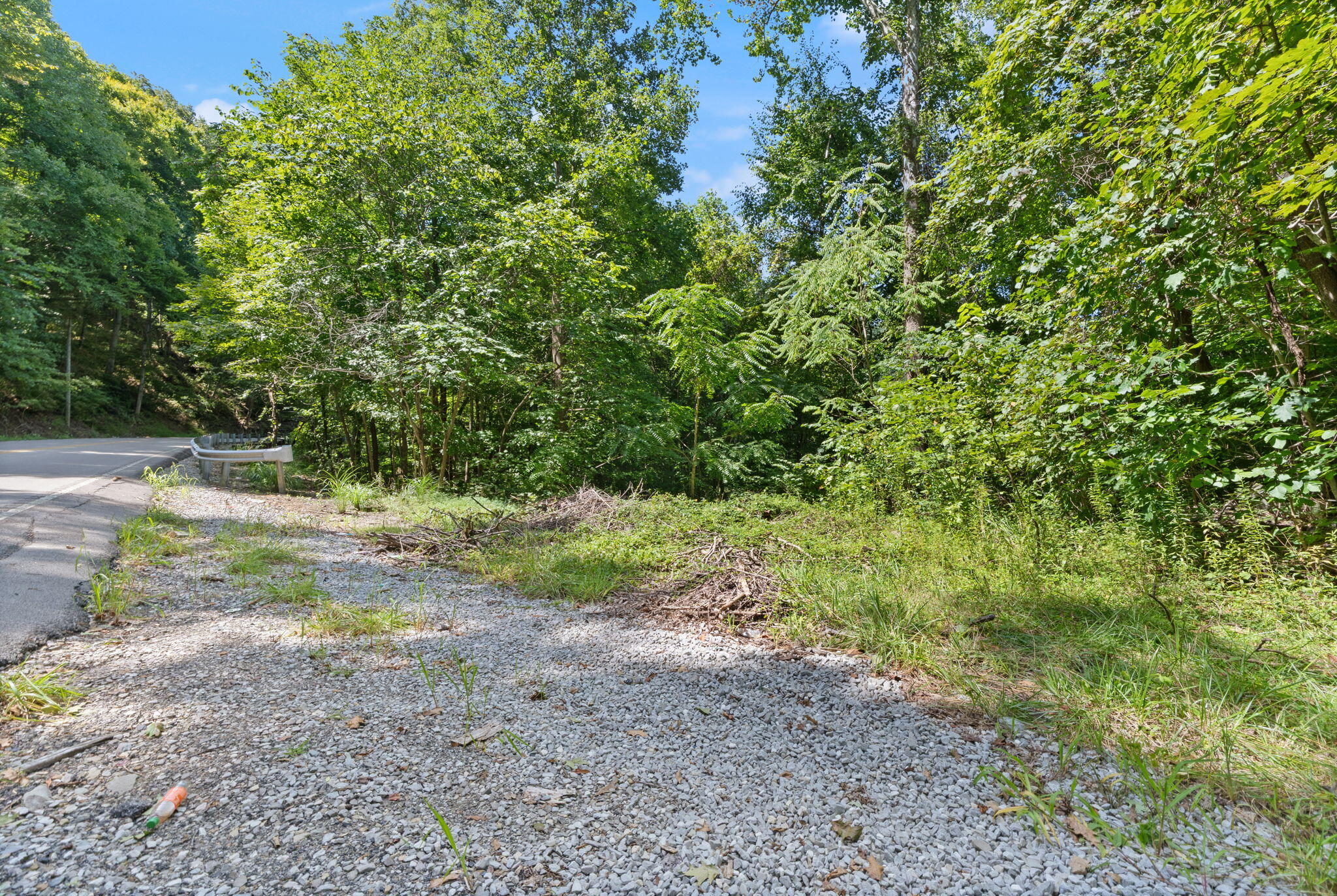 0000 Bill Dee Br Road Property Photo 1