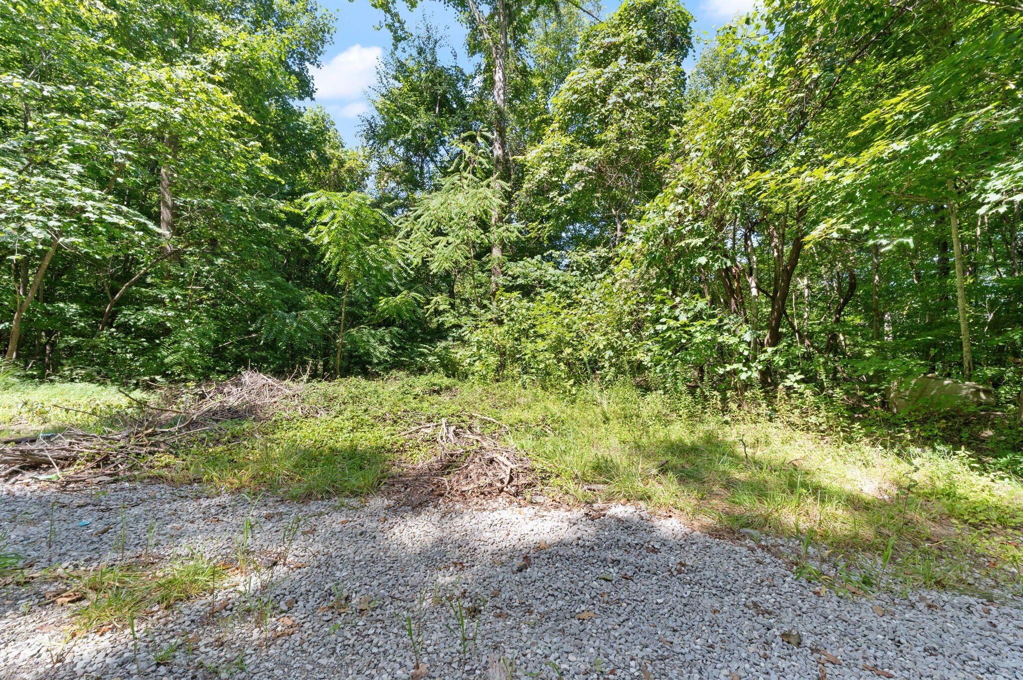 0000 Bill Dee Br Road Property Photo 2