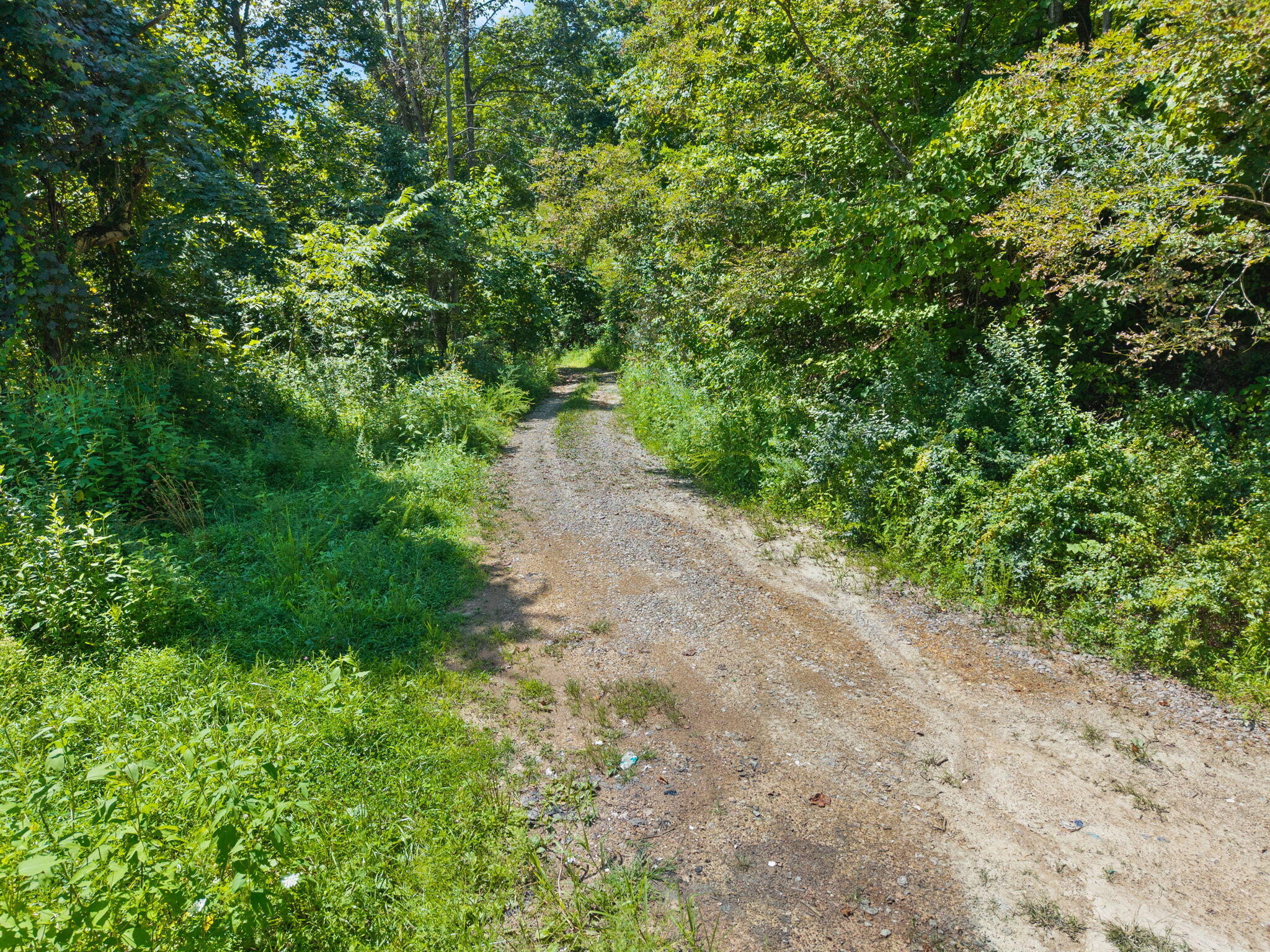 0000 Bill Dee Br Road Property Photo 3