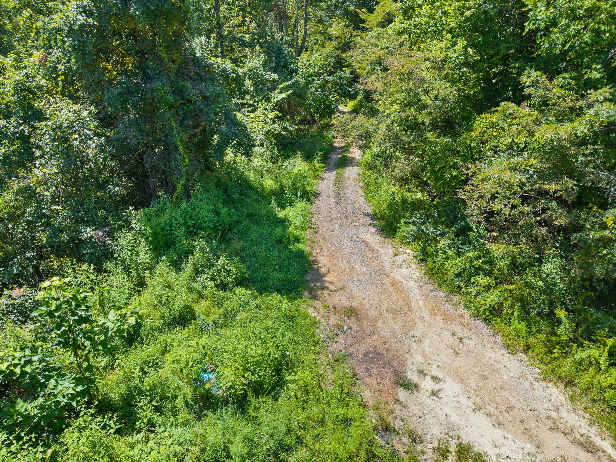 0000 Bill Dee Br Road Property Photo 4