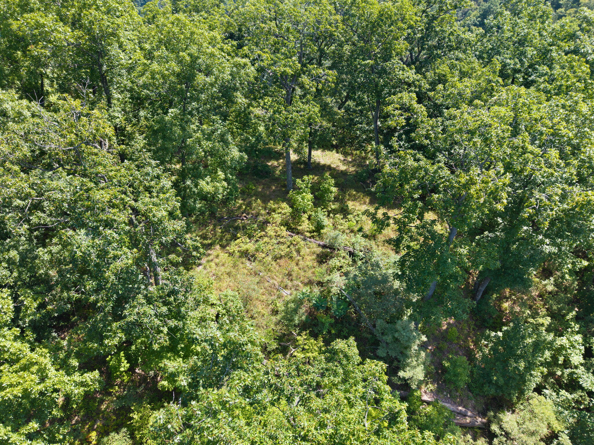 0000 Bill Dee Br Road Property Photo 9