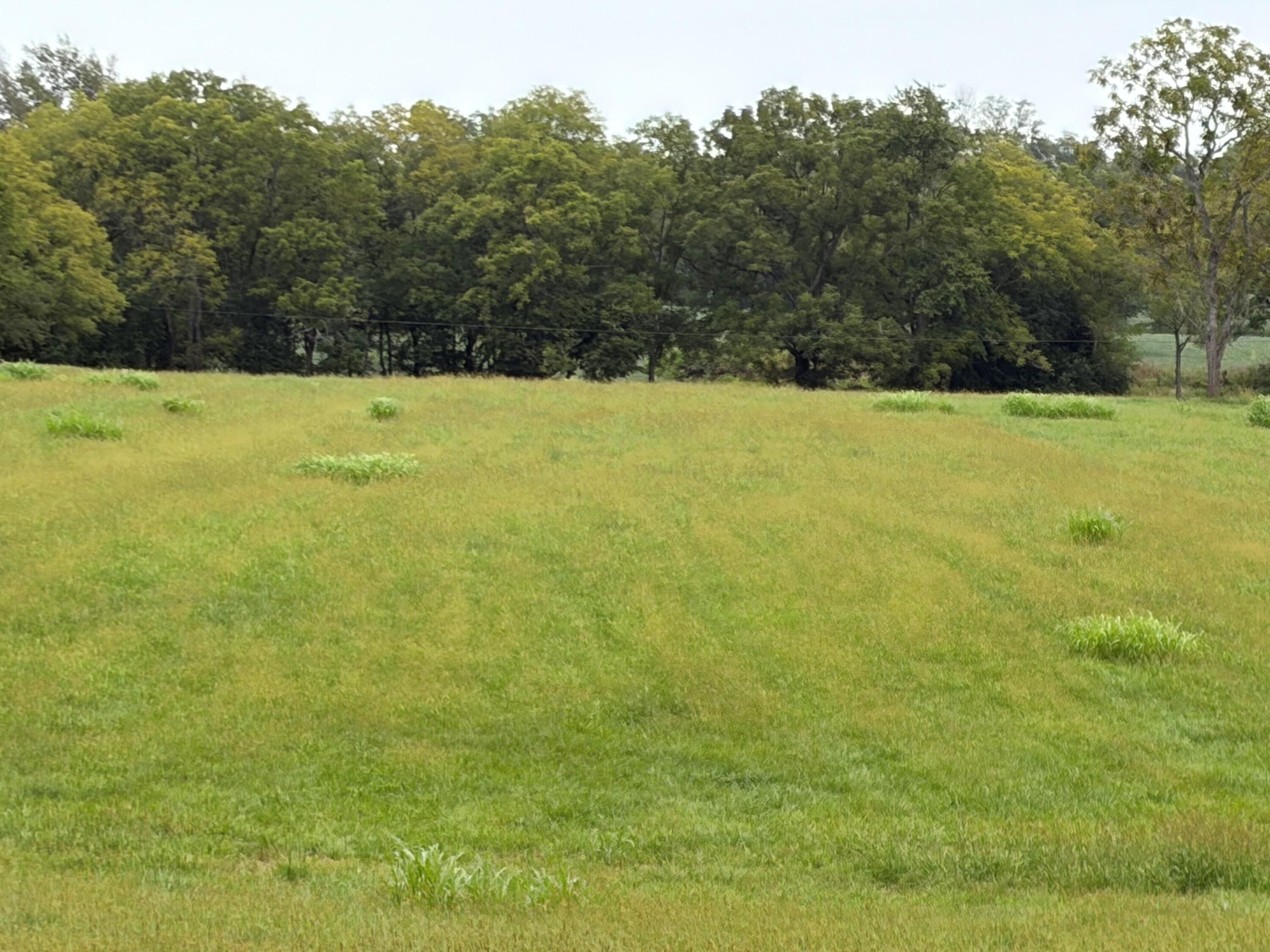 1873 Scotts Ferry Road Property Photo 2