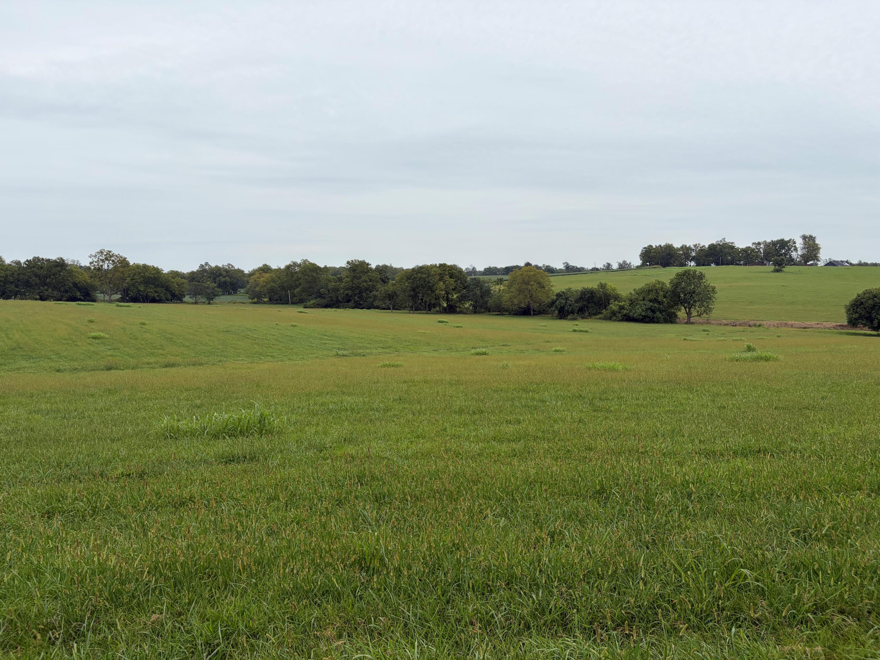 1873 Scotts Ferry Road Property Photo 3