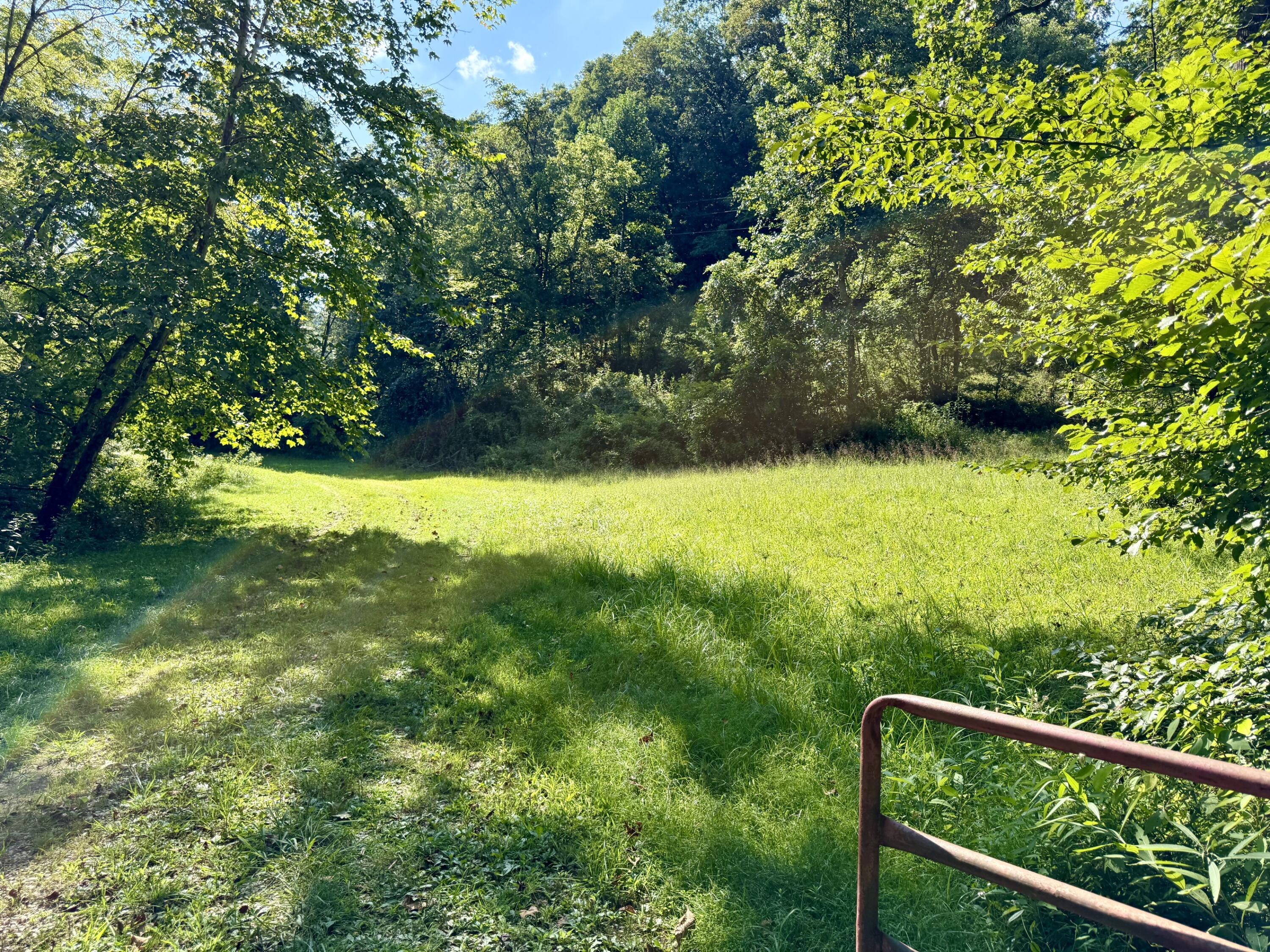 257 Hope Road Property Photo 4