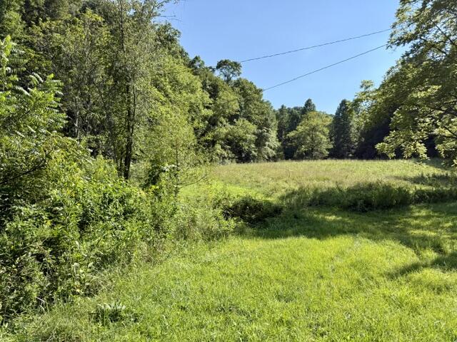 257 Hope Road Property Photo 5
