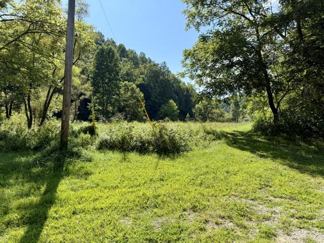 257 Hope Road Property Photo 6
