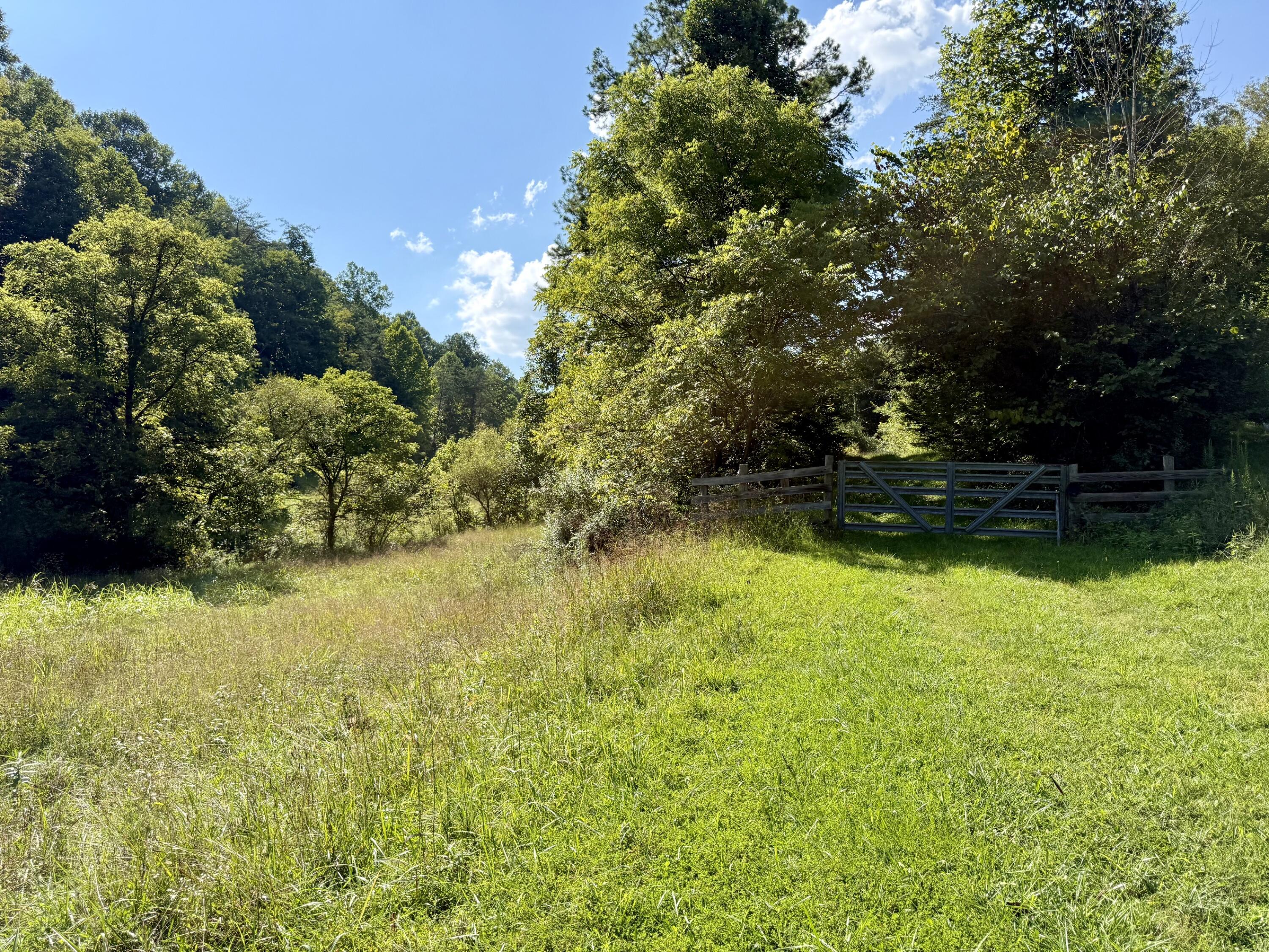257 Hope Road Property Photo 10