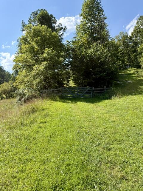 257 Hope Road Property Photo 11