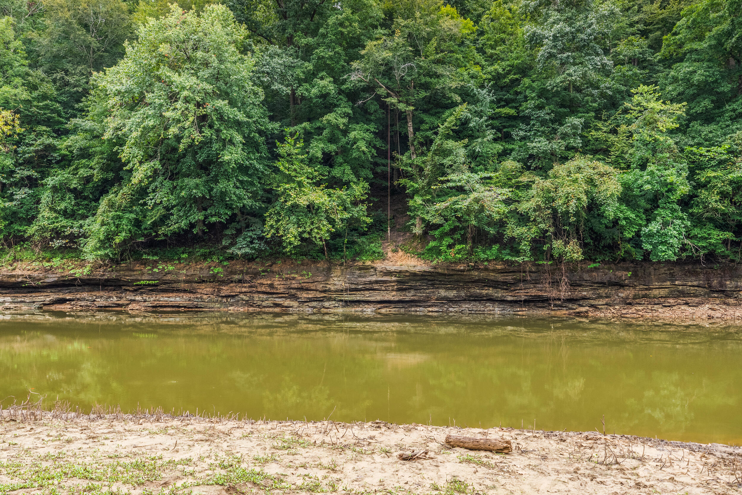 368 Adkins Camp Loop Property Photo 15