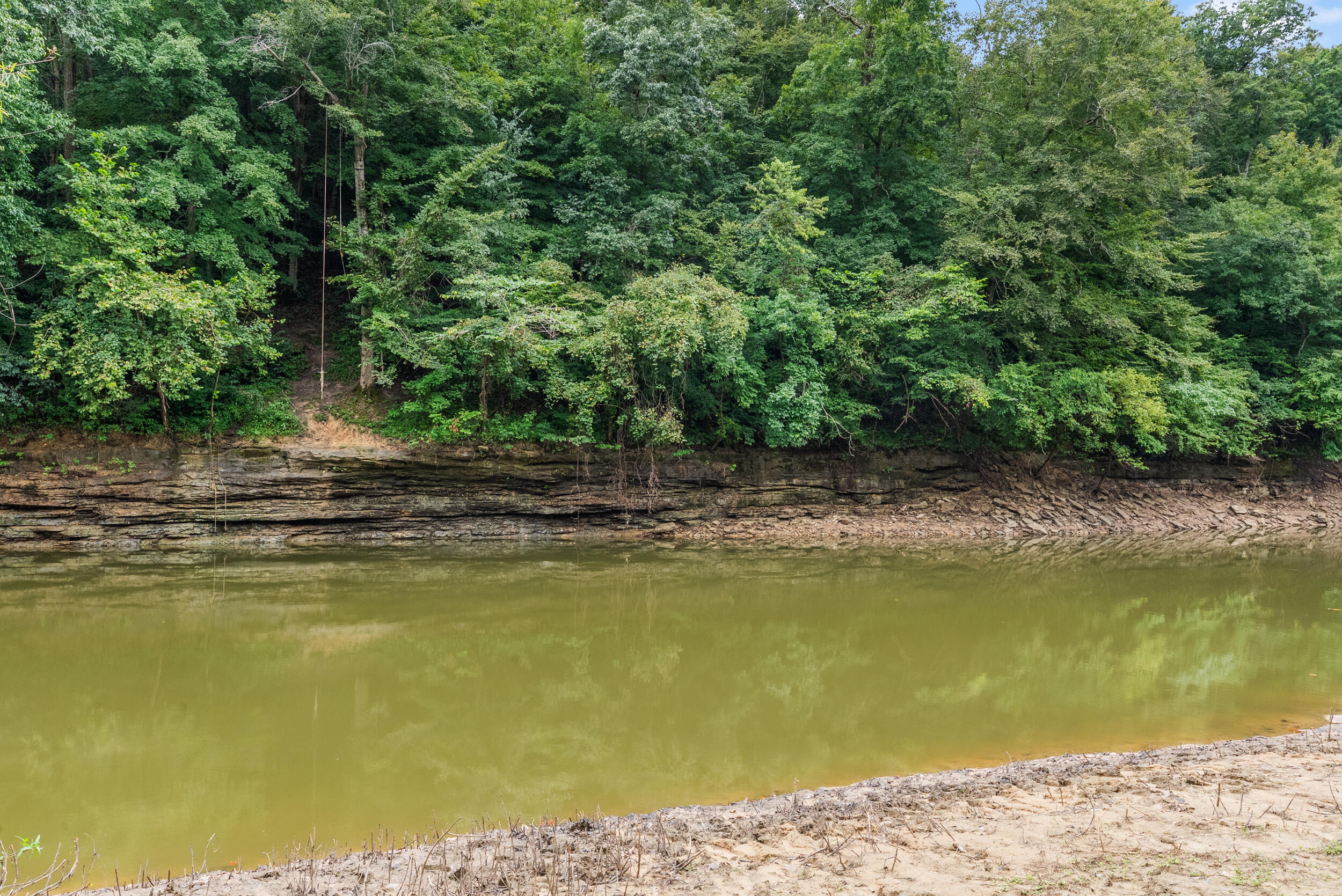 368 Adkins Camp Loop Property Photo 16