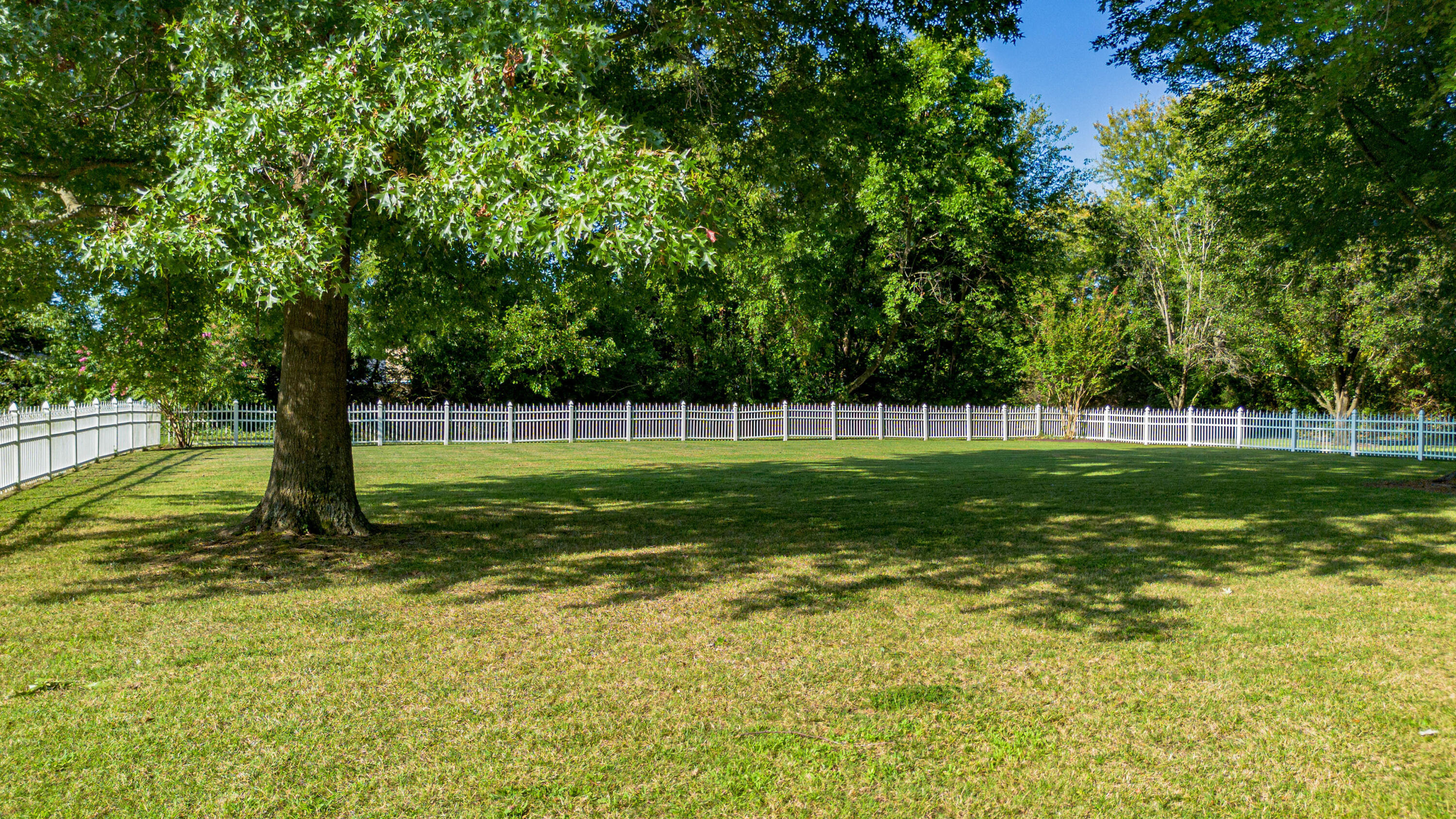 100 Fair Chase Drive Property Photo 45