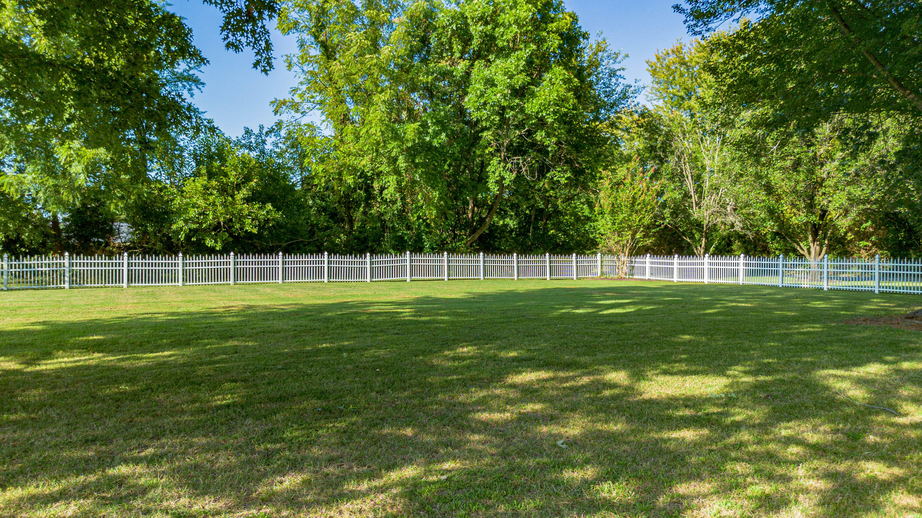 100 Fair Chase Drive Property Photo 46