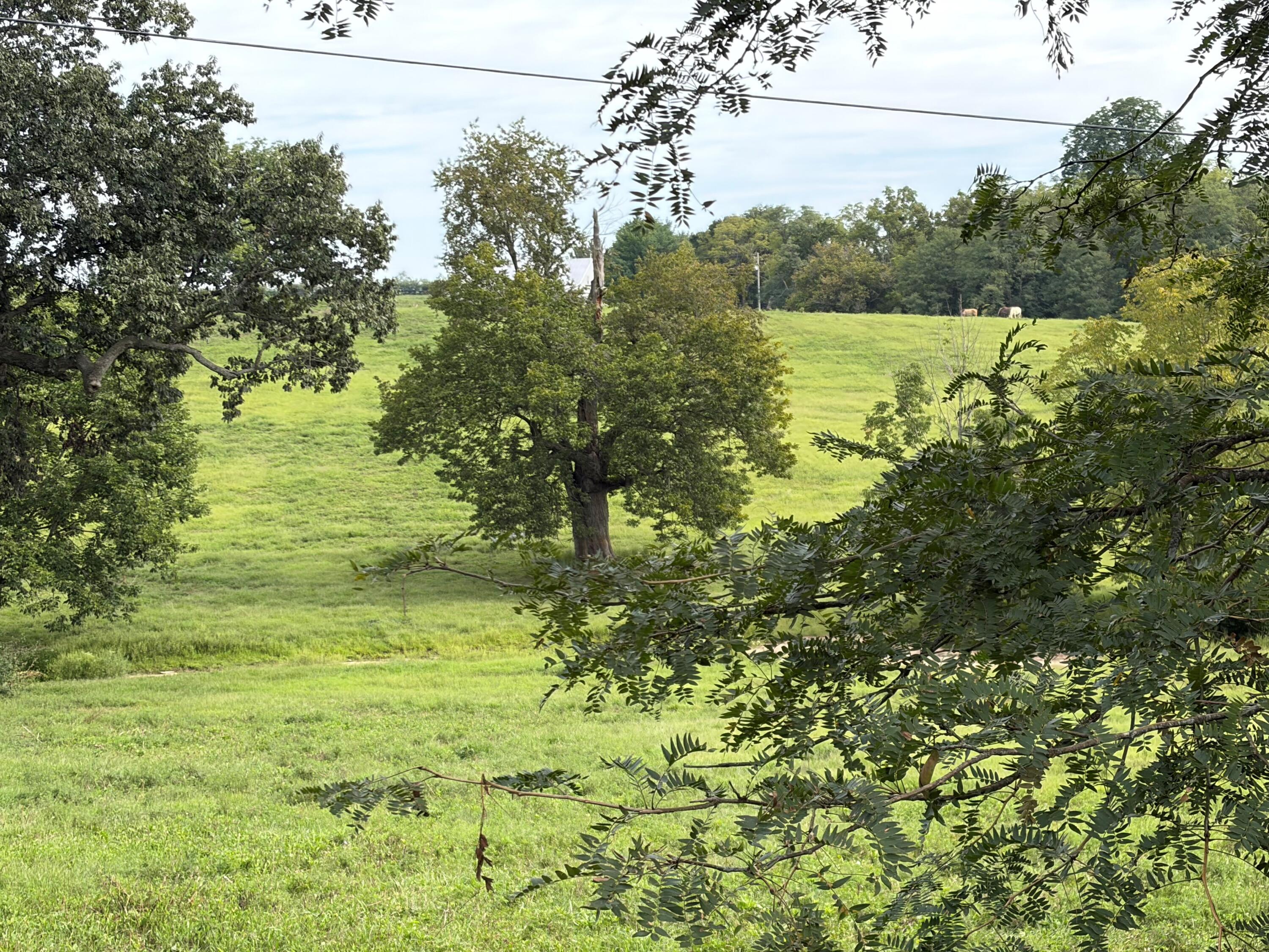 1061 Harrods Creek Road Property Photo 3