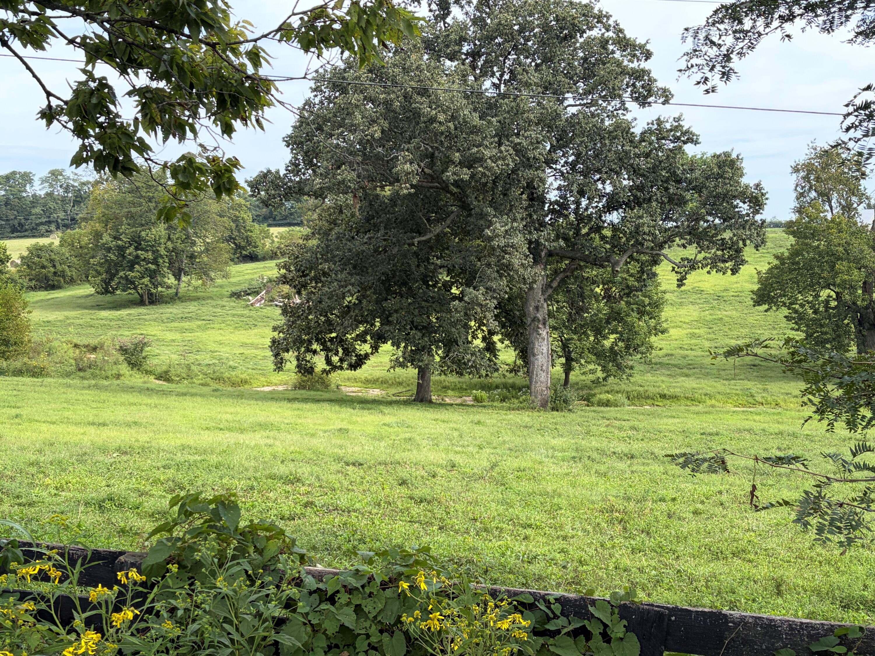 1061 Harrods Creek Road Property Photo 4