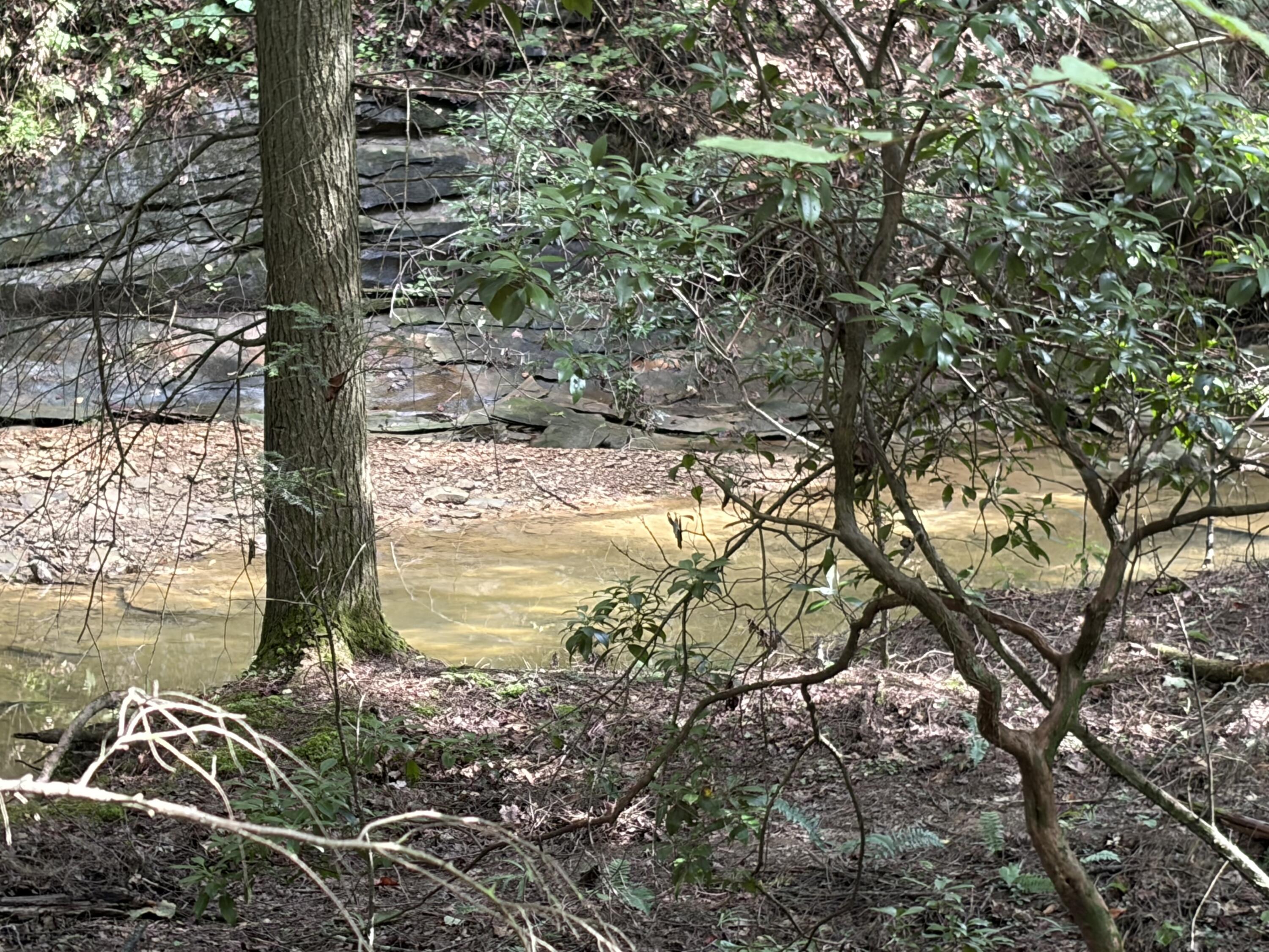 5800 Straight Fork Property Photo 13