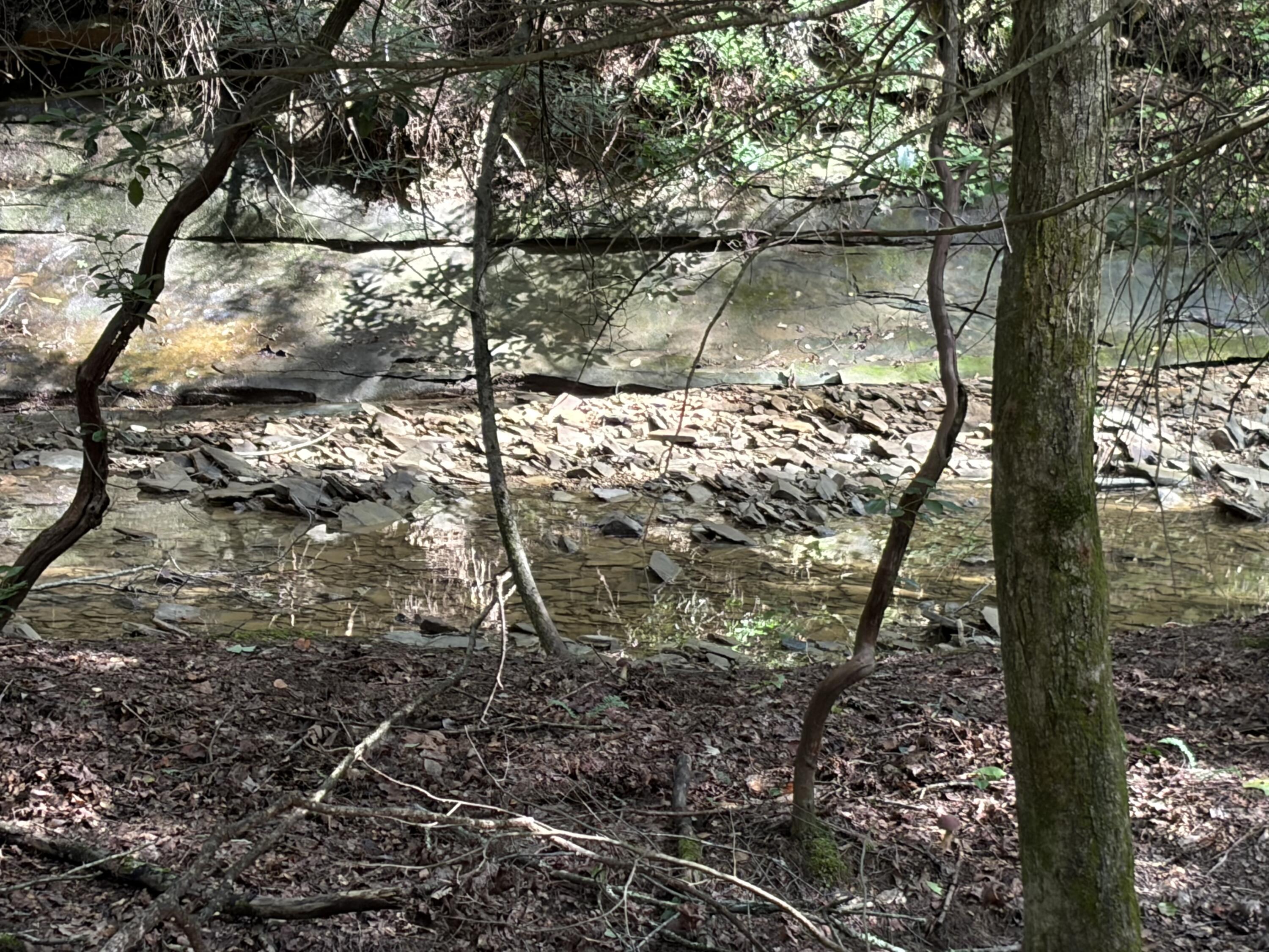 5800 Straight Fork Property Photo 14