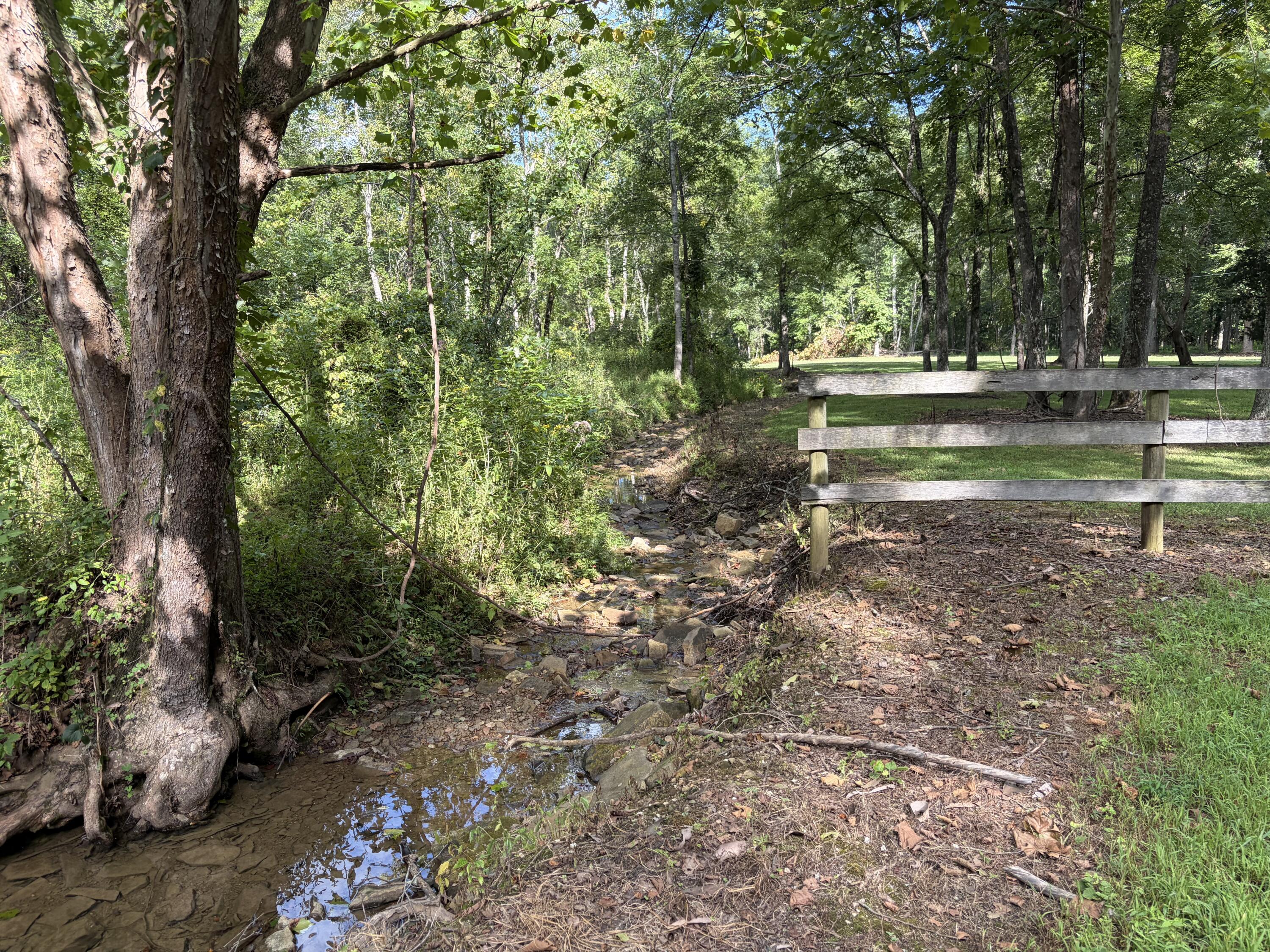 5800 Straight Fork Property Photo 43
