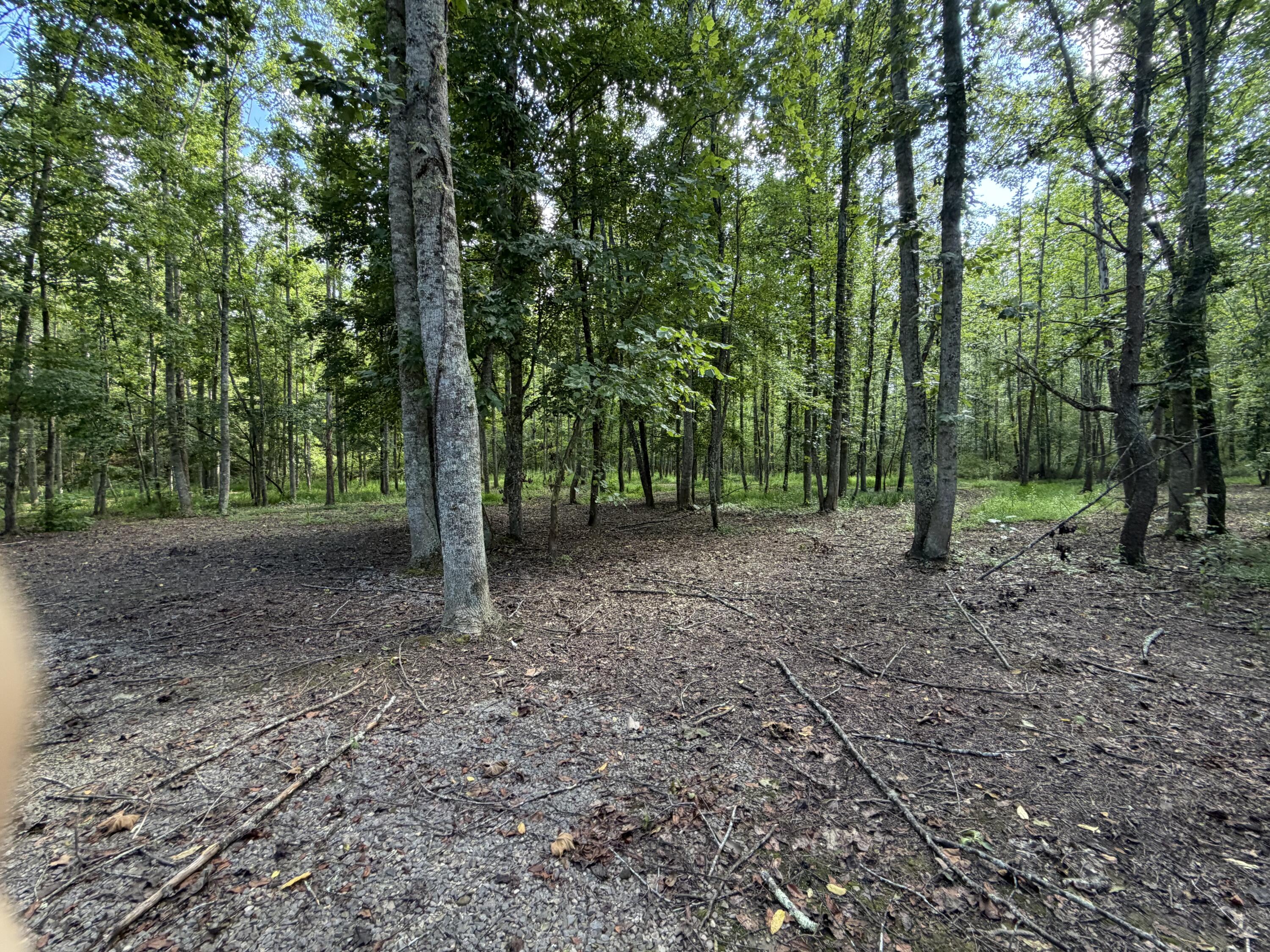 5800 Straight Fork Property Photo 47