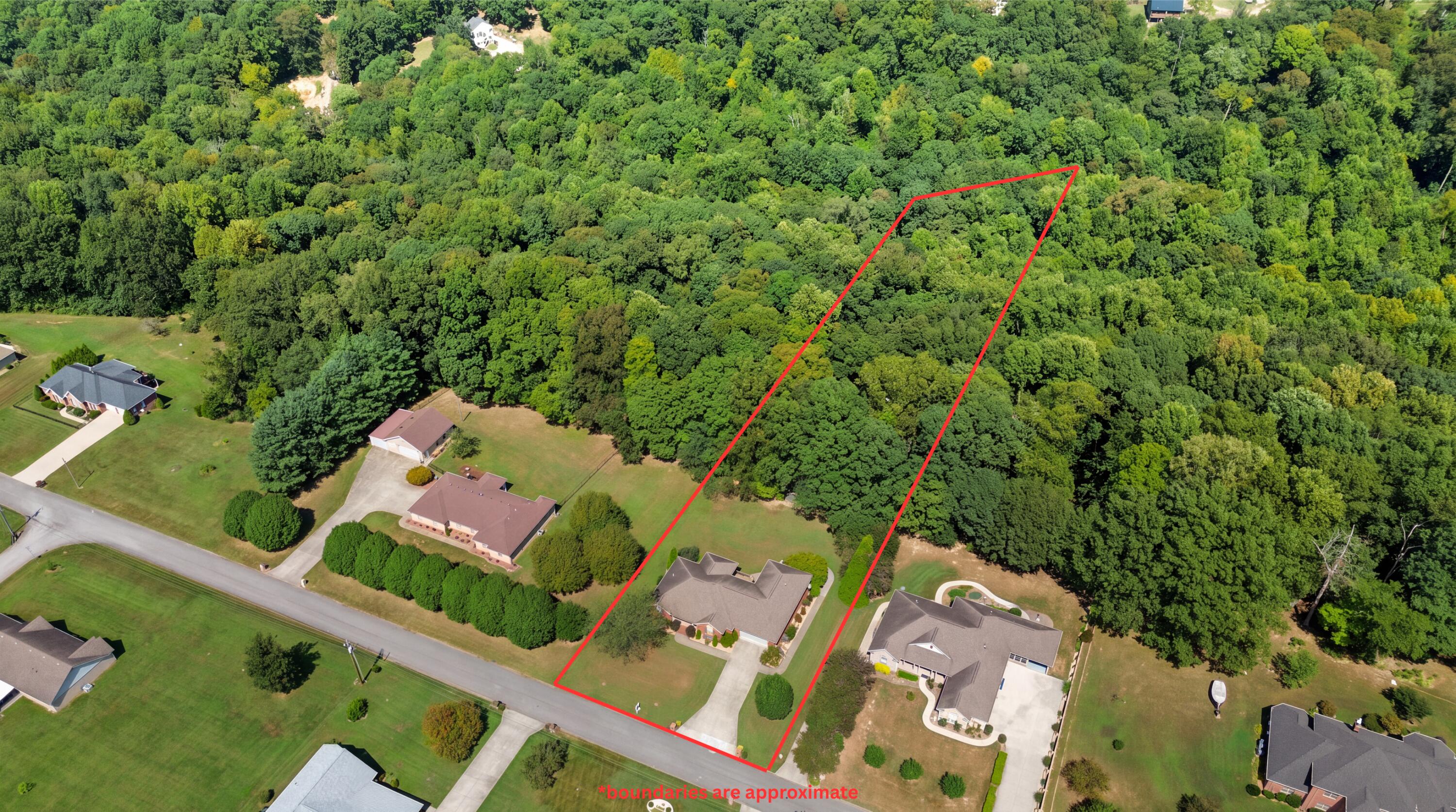 378 Horizon Hill Drive Property Photo 6