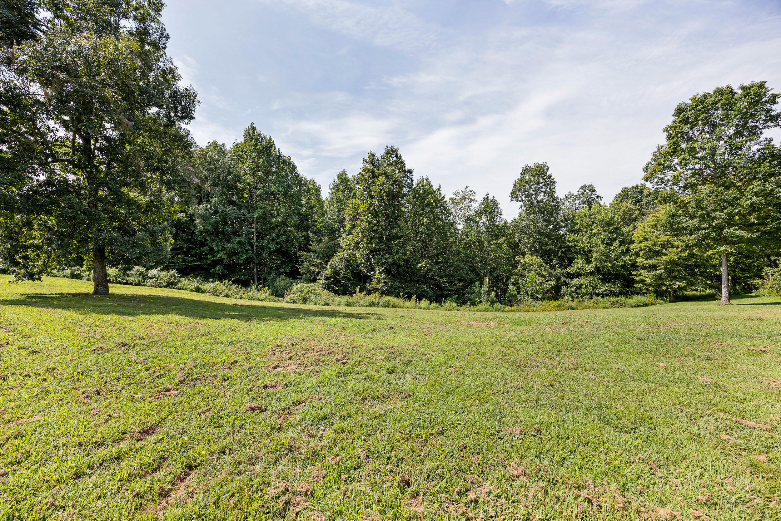 1135 Strong Branch Rd Road Property Photo 9