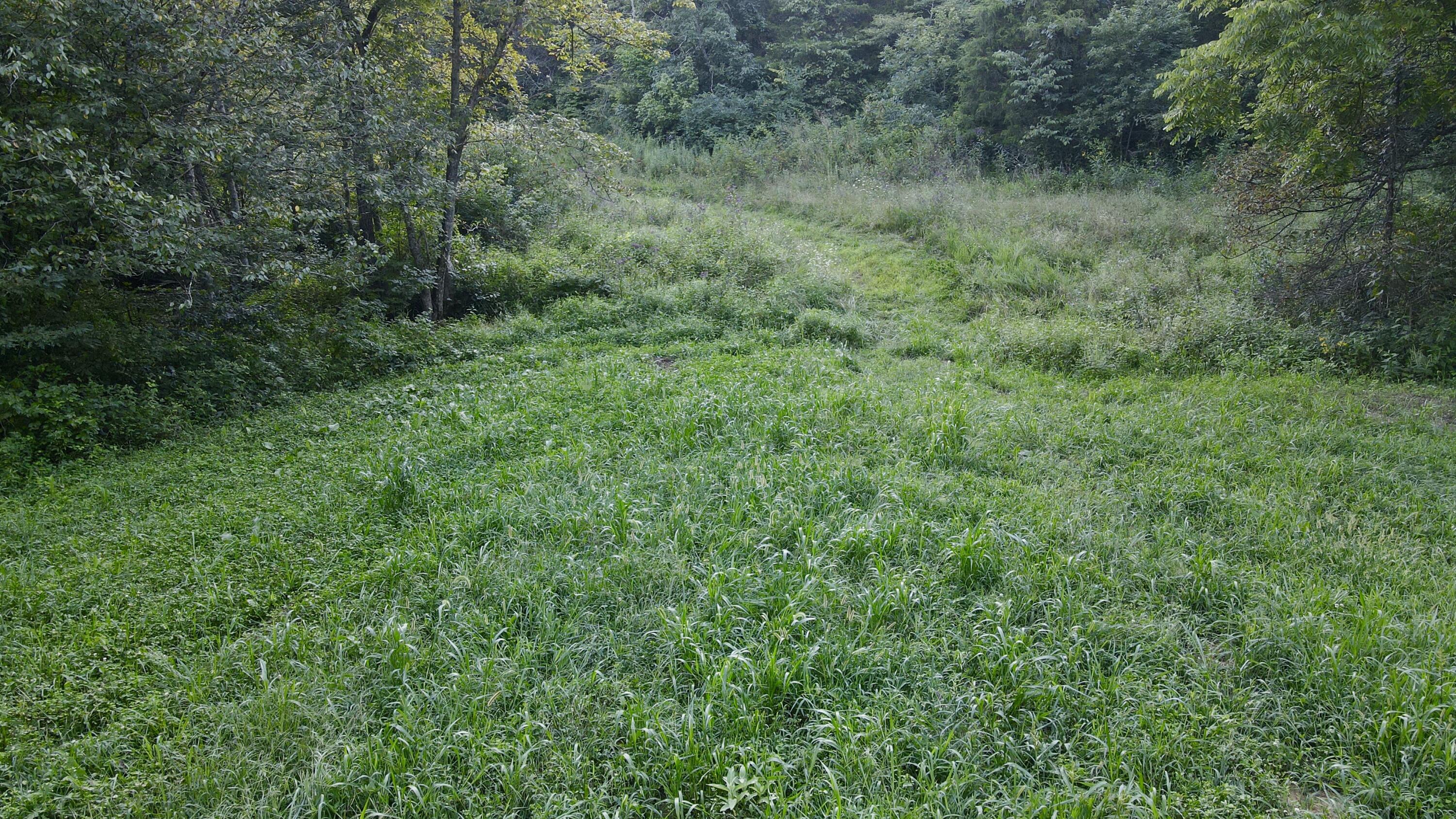6265 Georgetown Road Property Photo 21