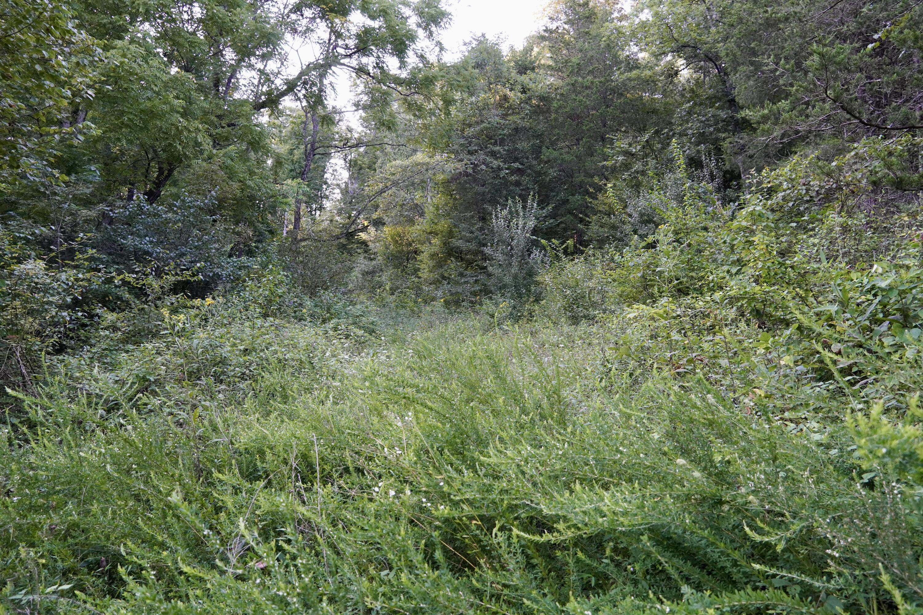 6265 Georgetown Road Property Photo 22