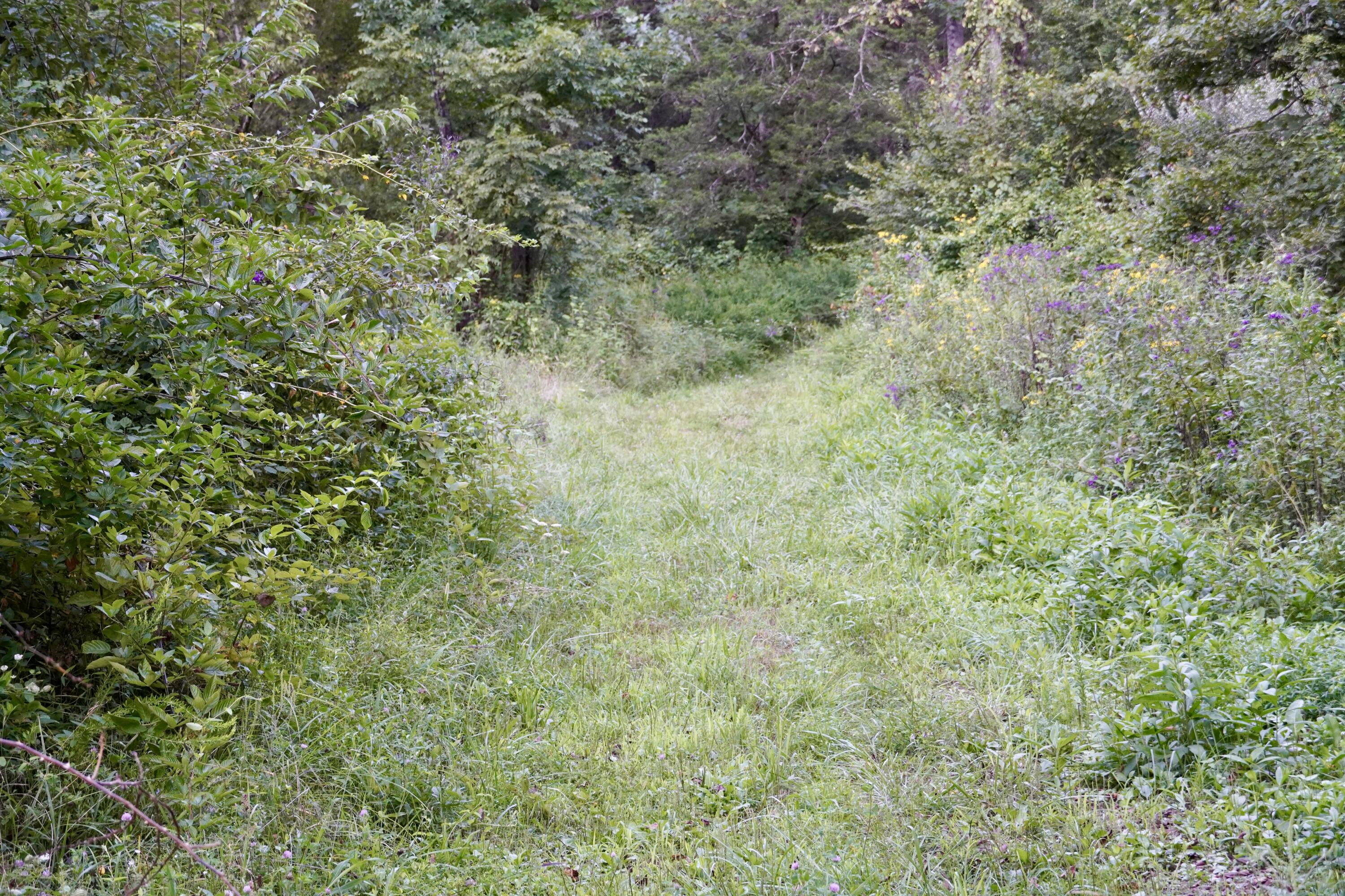 6265 Georgetown Road Property Photo 23