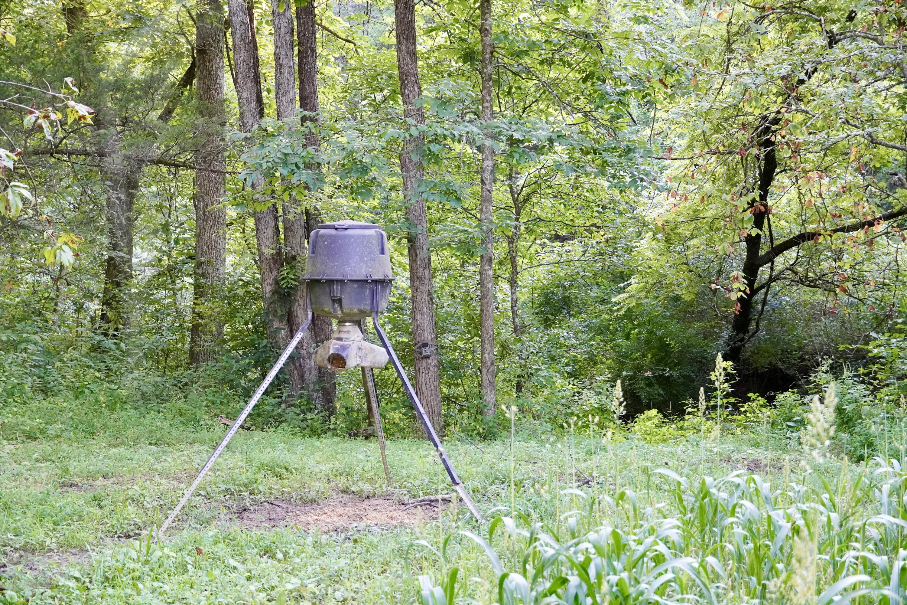 6265 Georgetown Road Property Photo 26