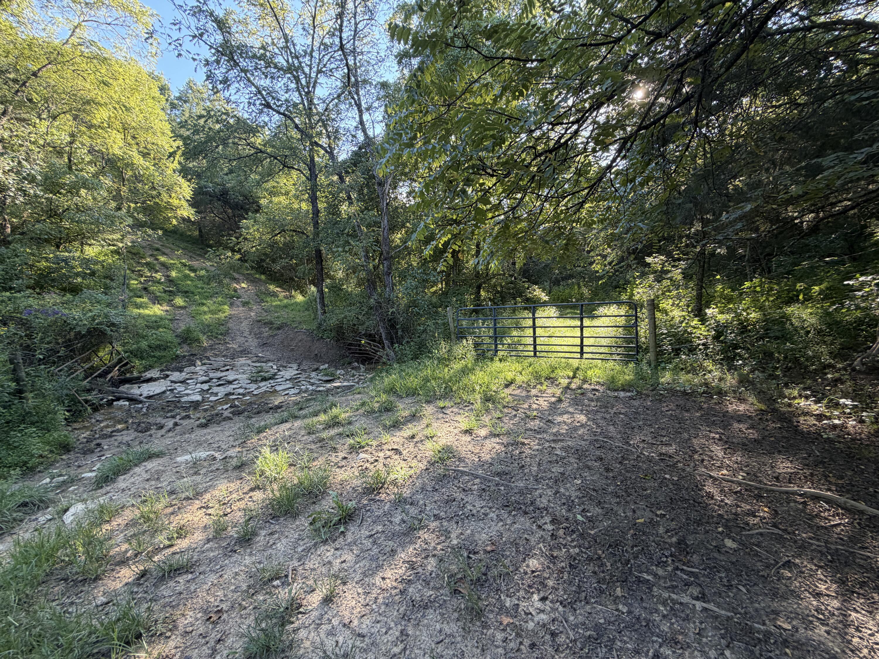 6265 Georgetown Road Property Photo 36