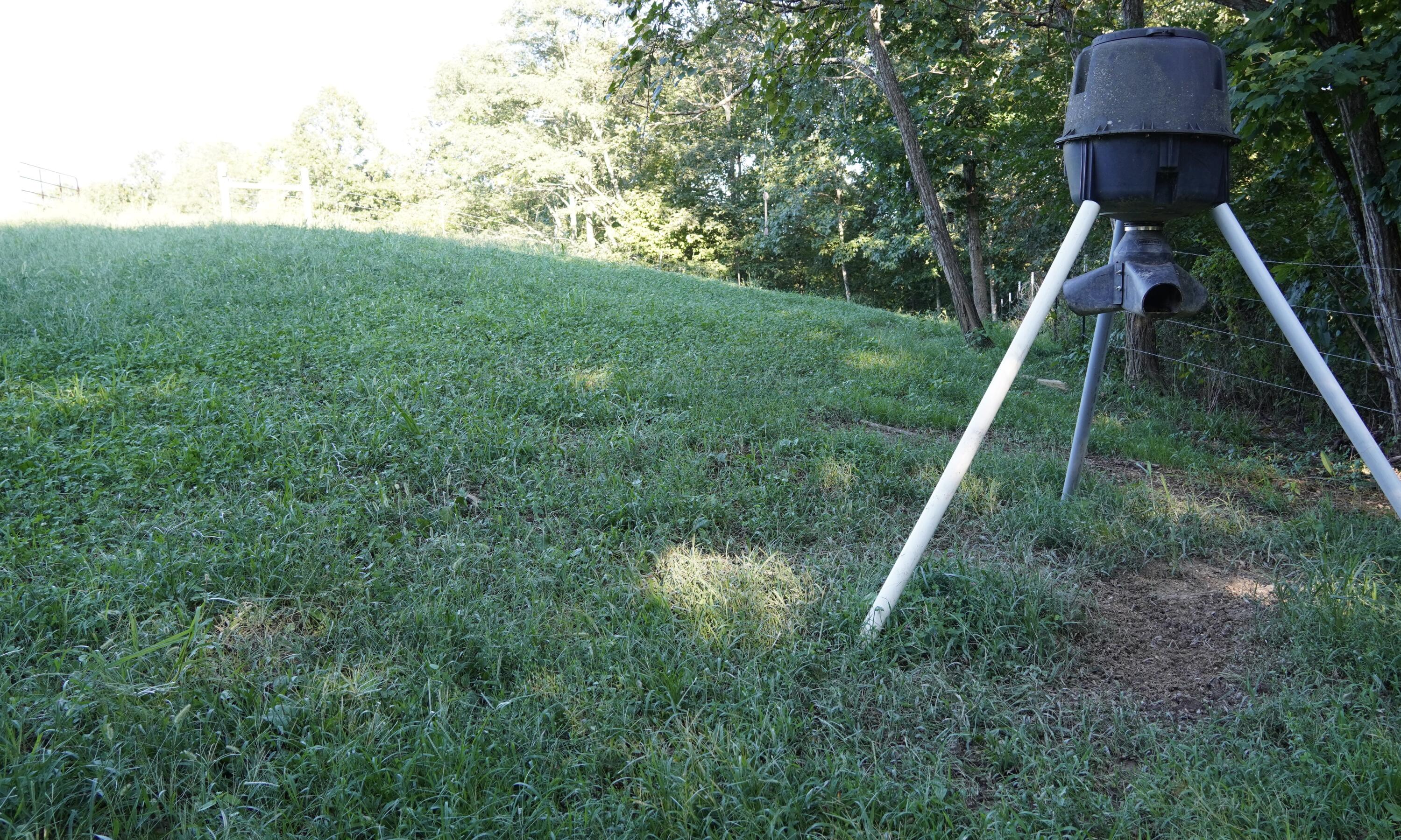 6265 Georgetown Road Property Photo 37