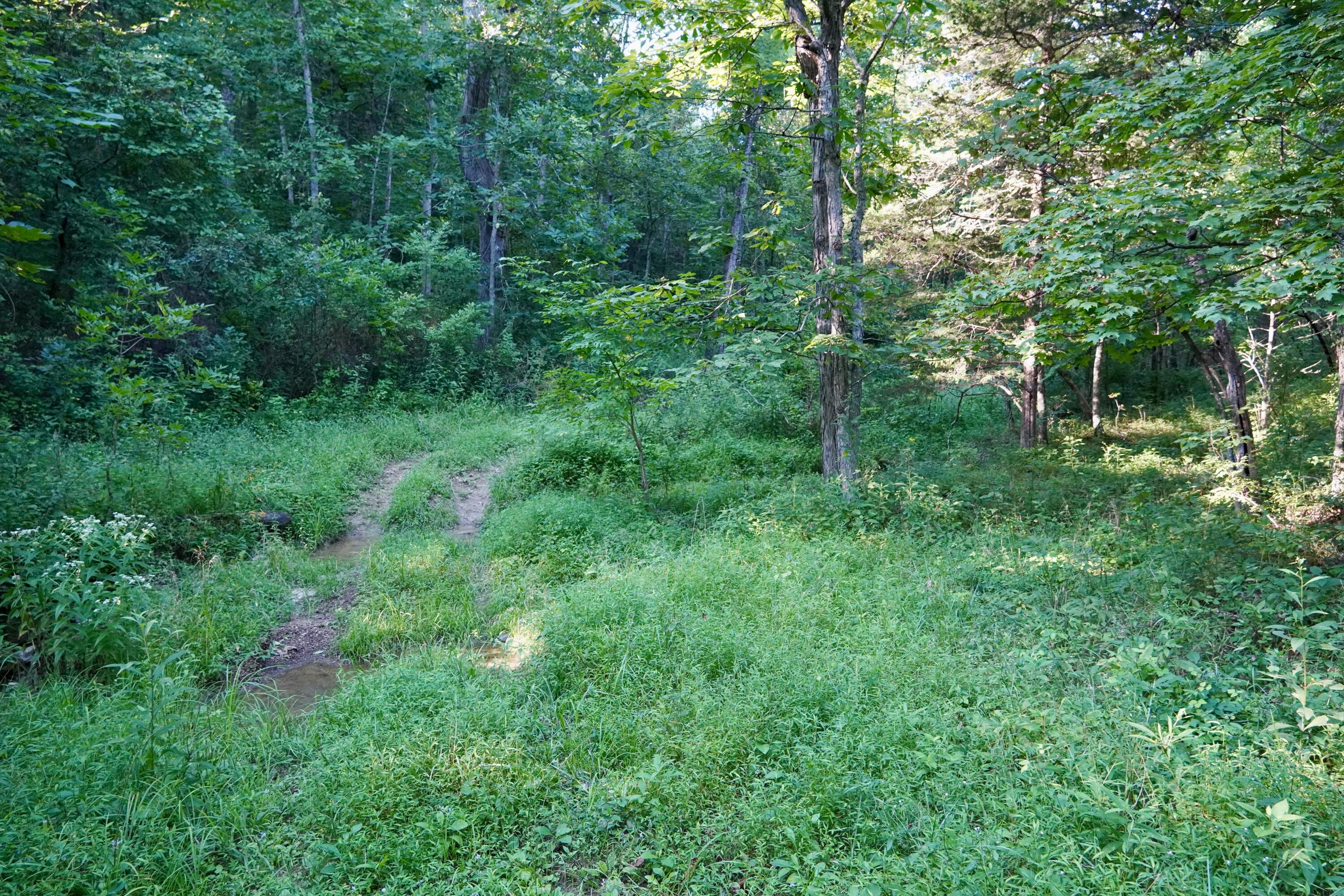 6265 Georgetown Road Property Photo 43
