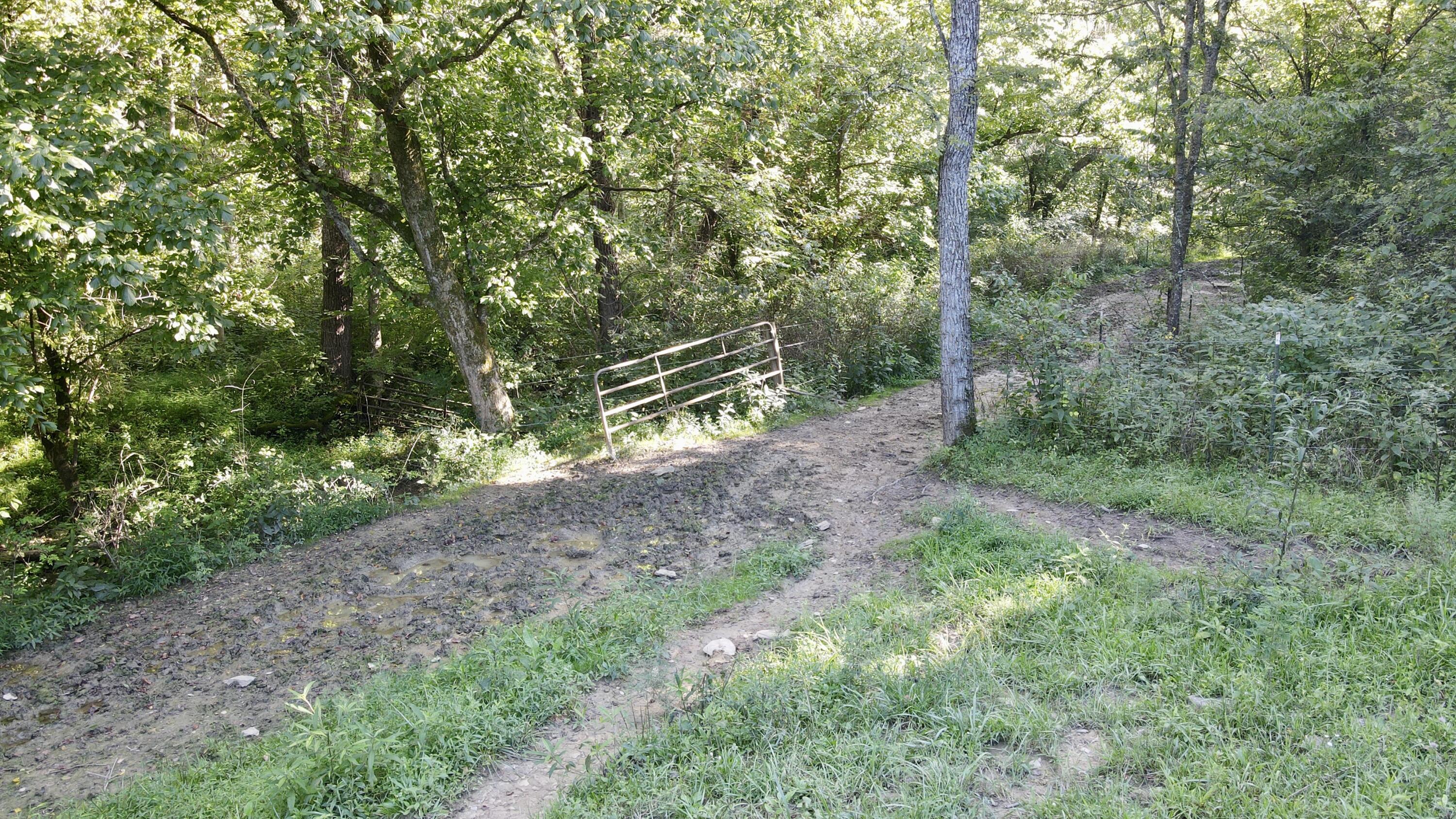6265 Georgetown Road Property Photo 44
