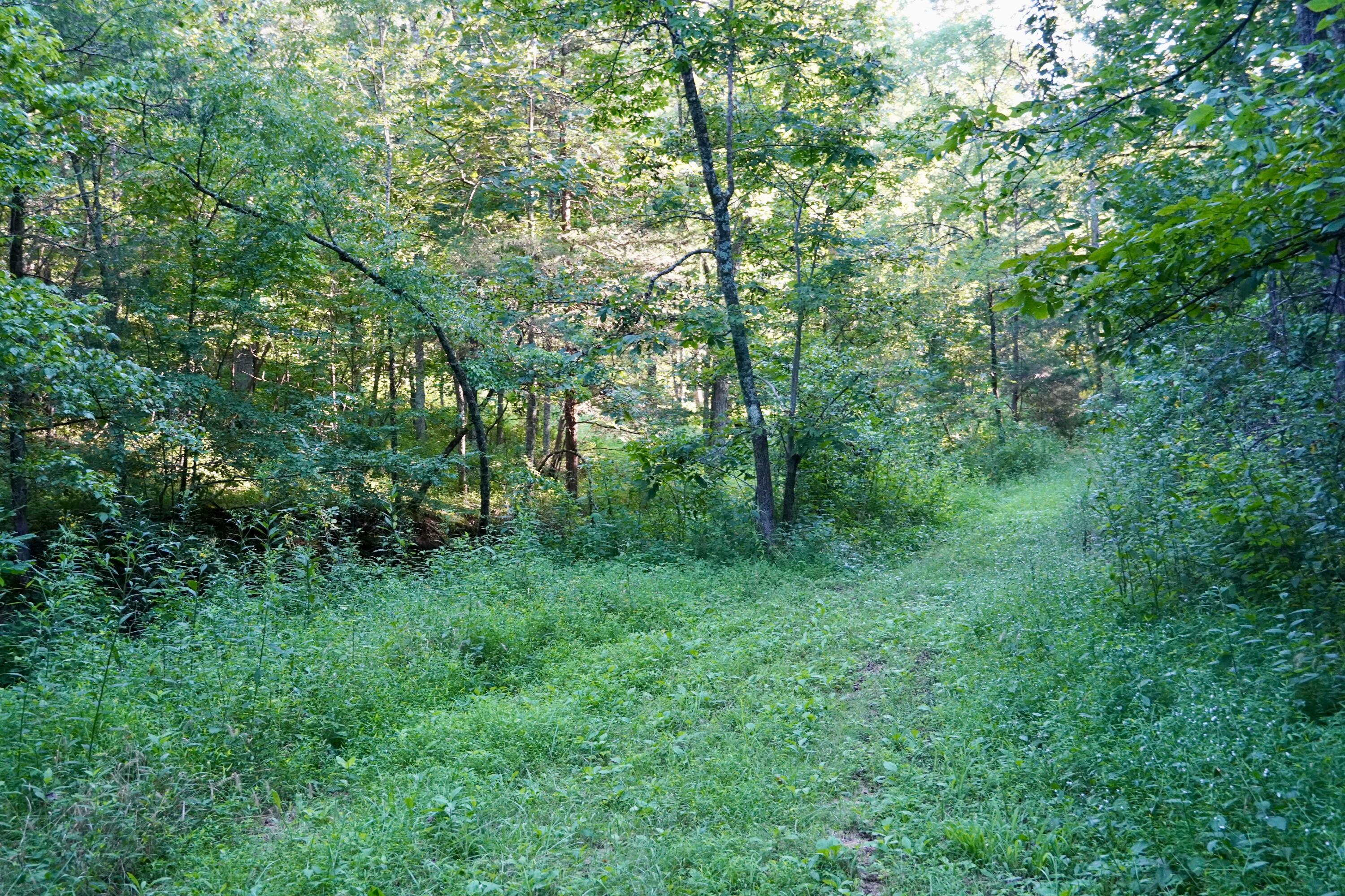 6265 Georgetown Road Property Photo 45