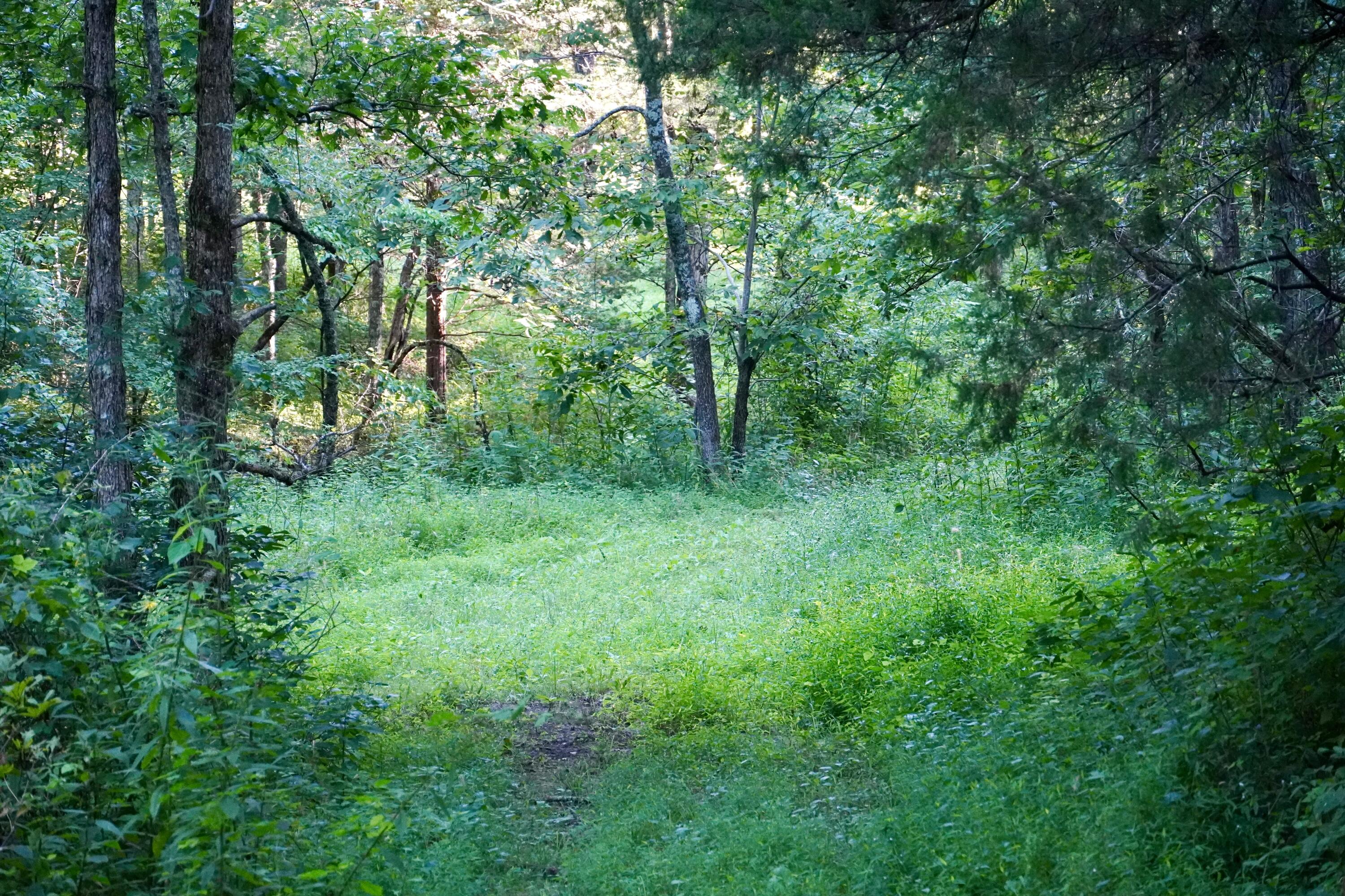 6265 Georgetown Road Property Photo 48