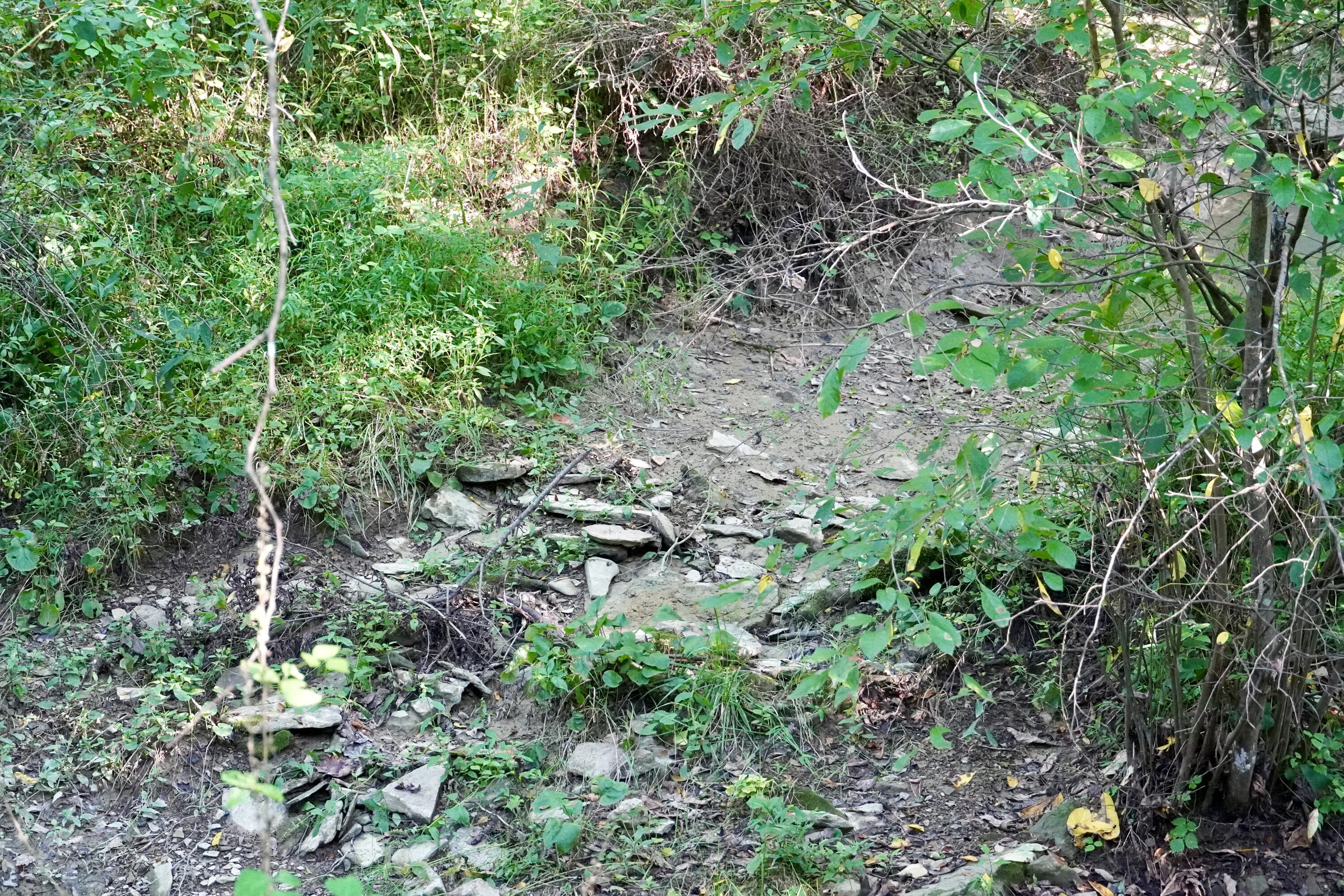 6265 Georgetown Road Property Photo 56