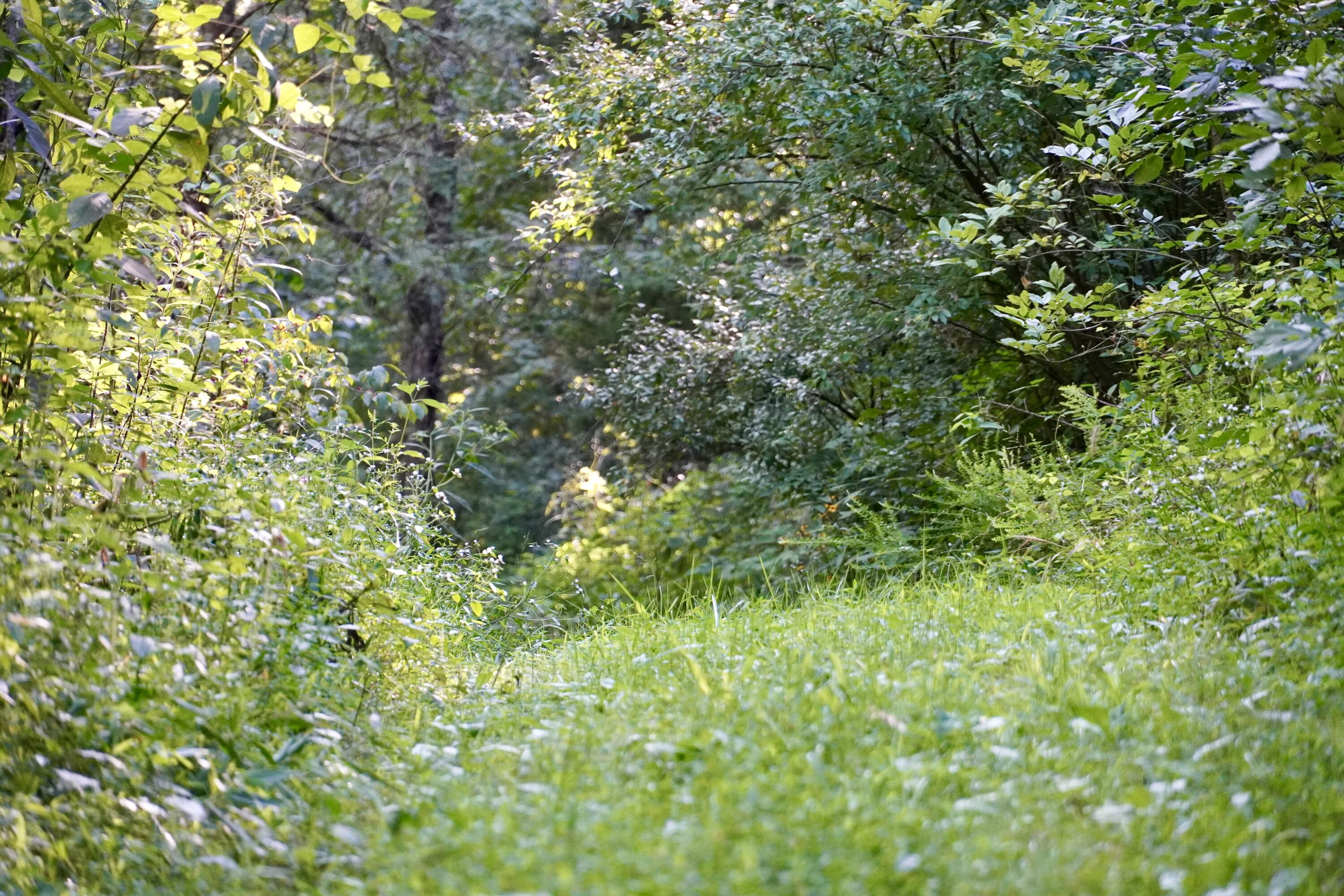 6265 Georgetown Road Property Photo 57