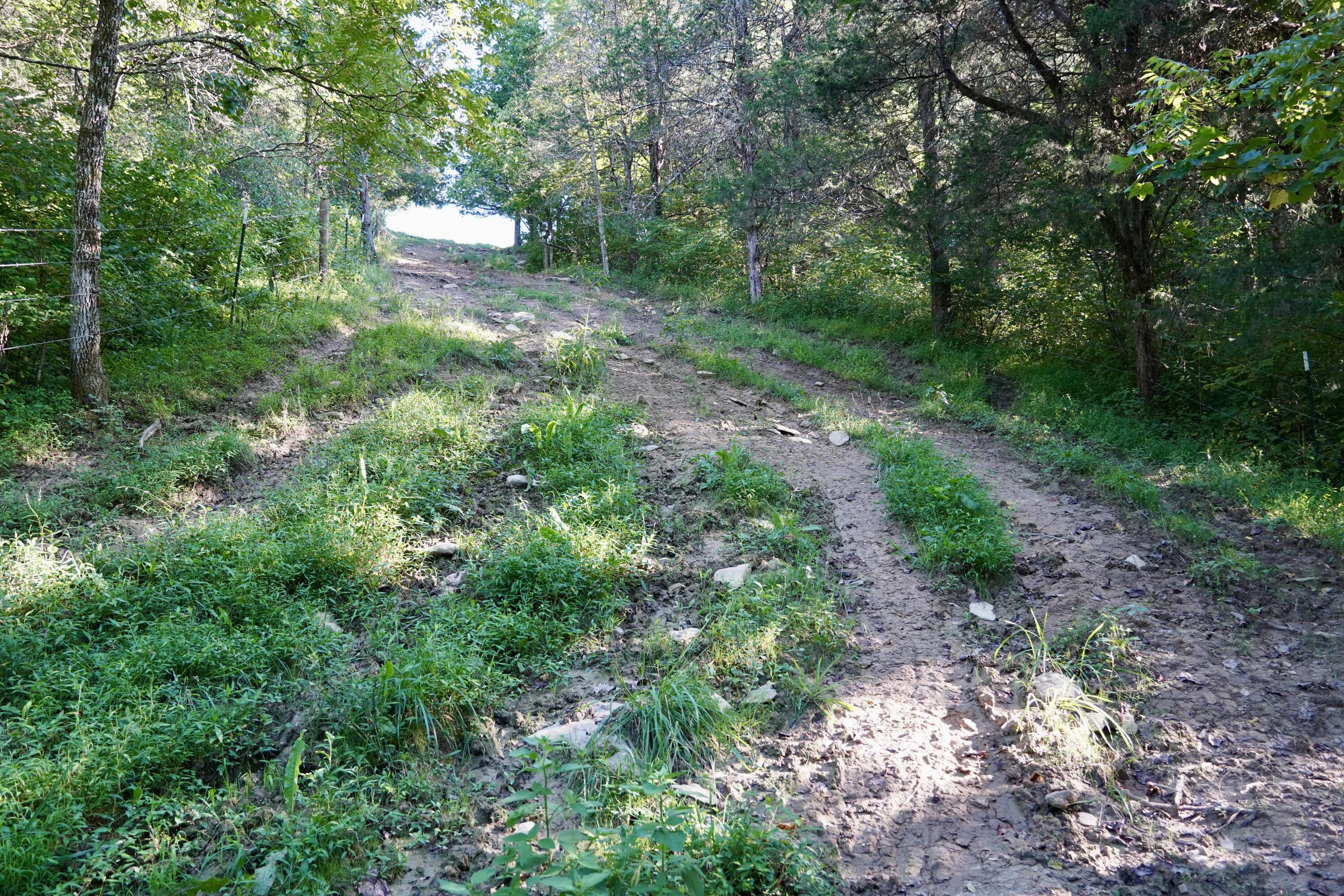 6265 Georgetown Road Property Photo 58