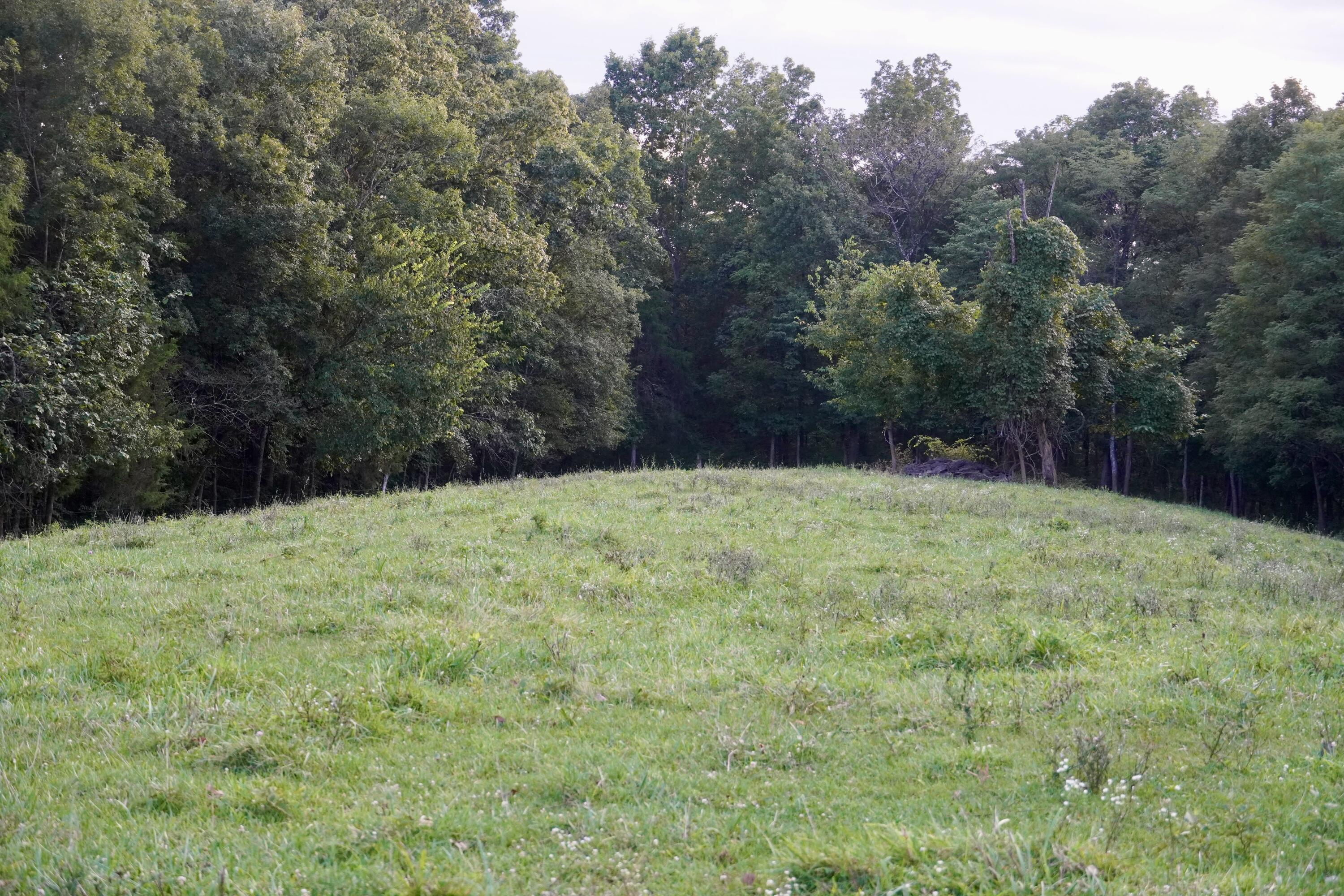 6265 Georgetown Road Property Photo 70