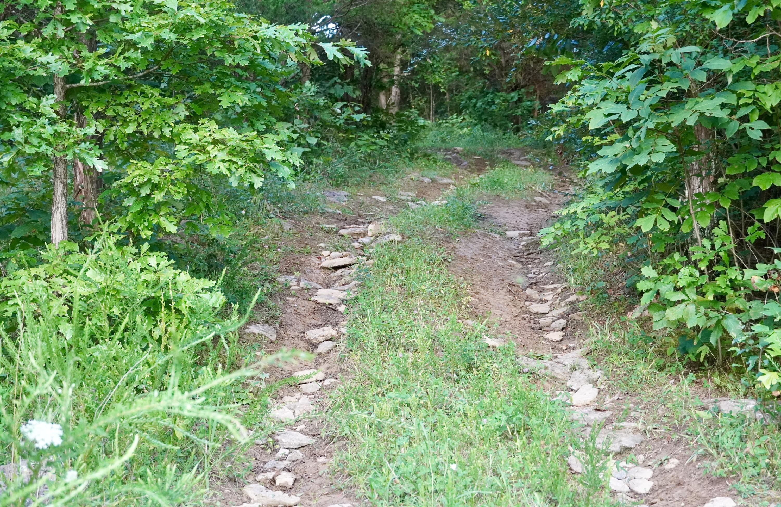 6265 Georgetown Road Property Photo 135