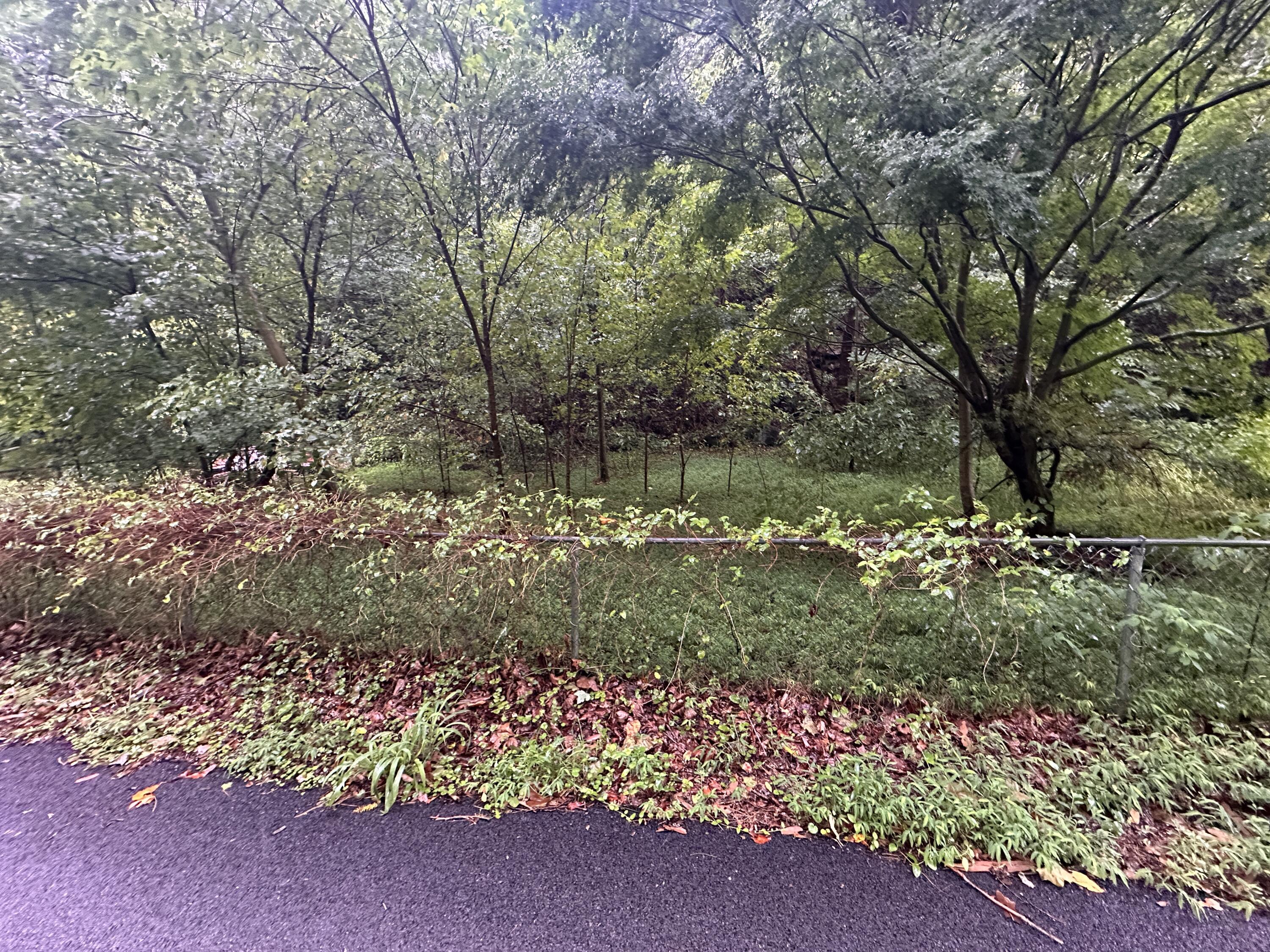 816 Road Creek