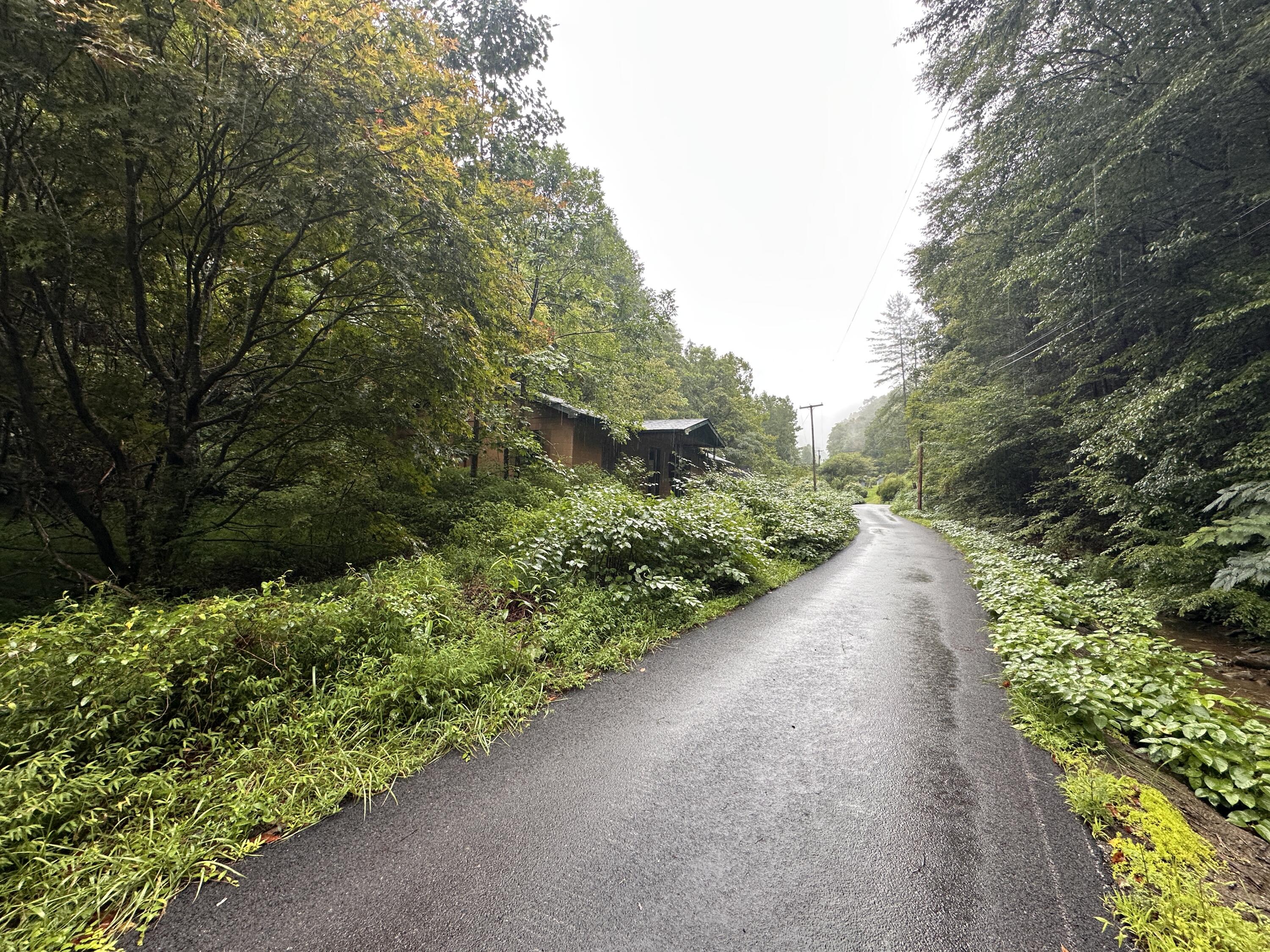 816 Road Creek Property Photo 3