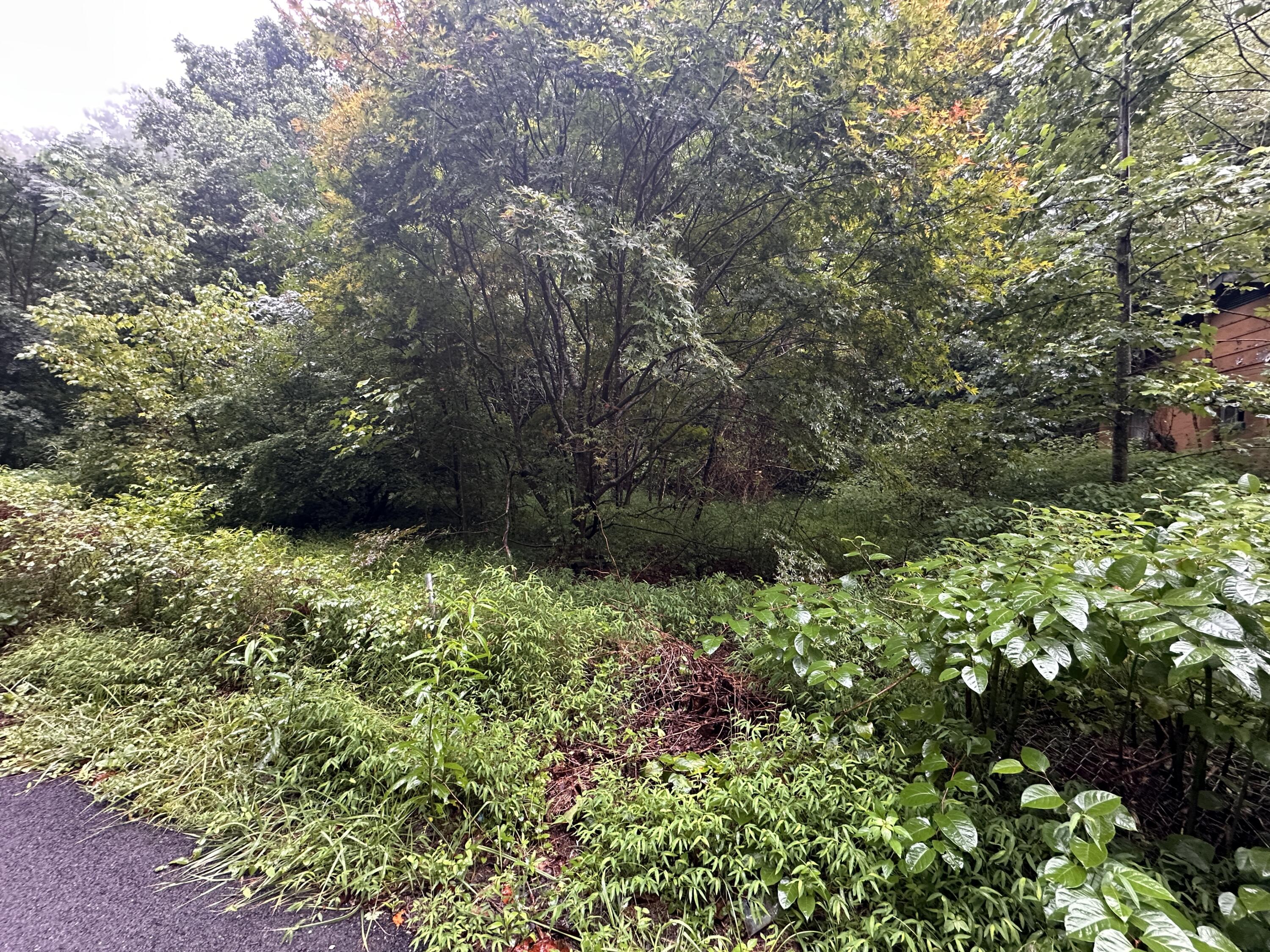 816 Road Creek Property Photo 4