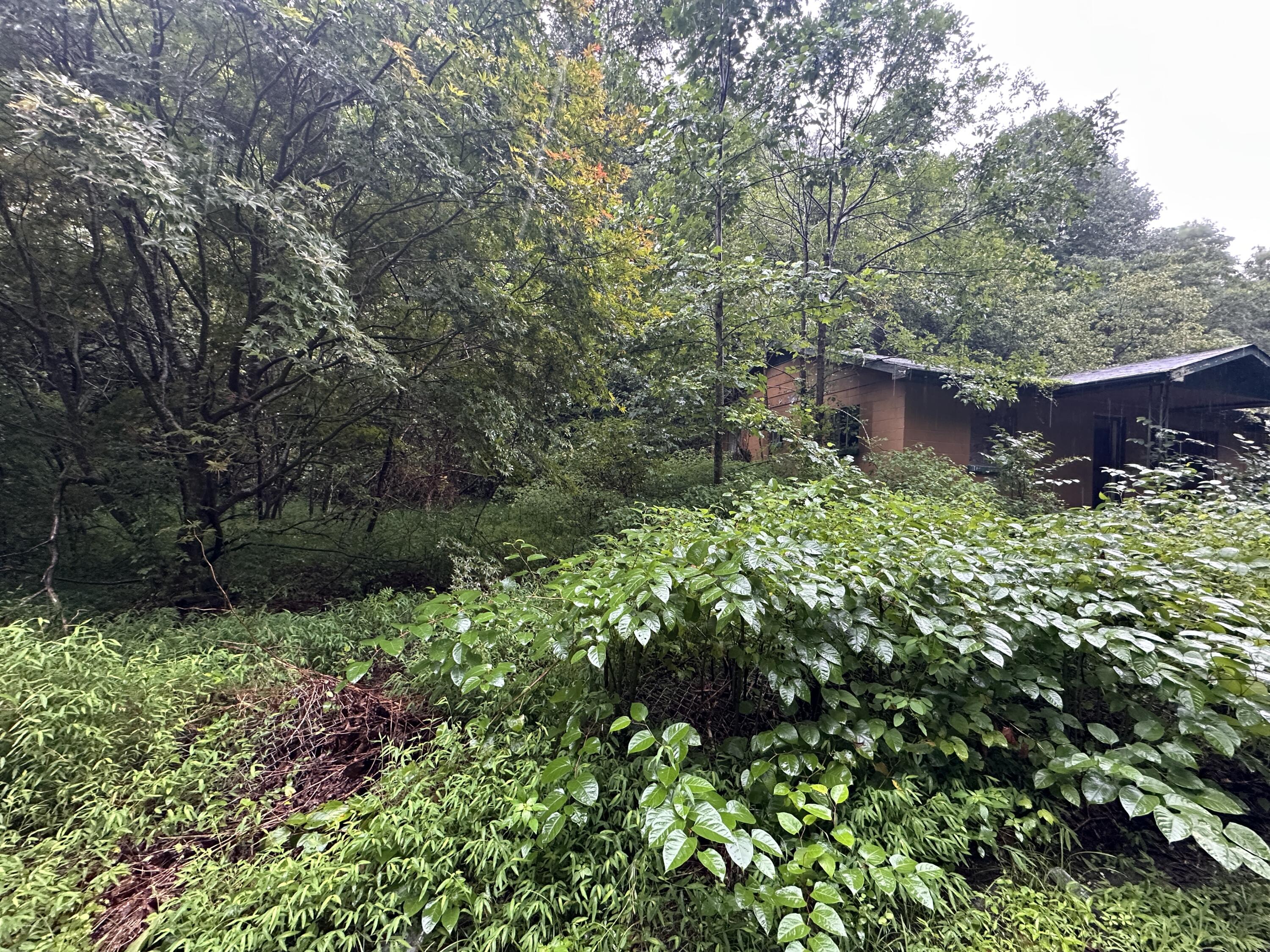 816 Road Creek Property Photo 5