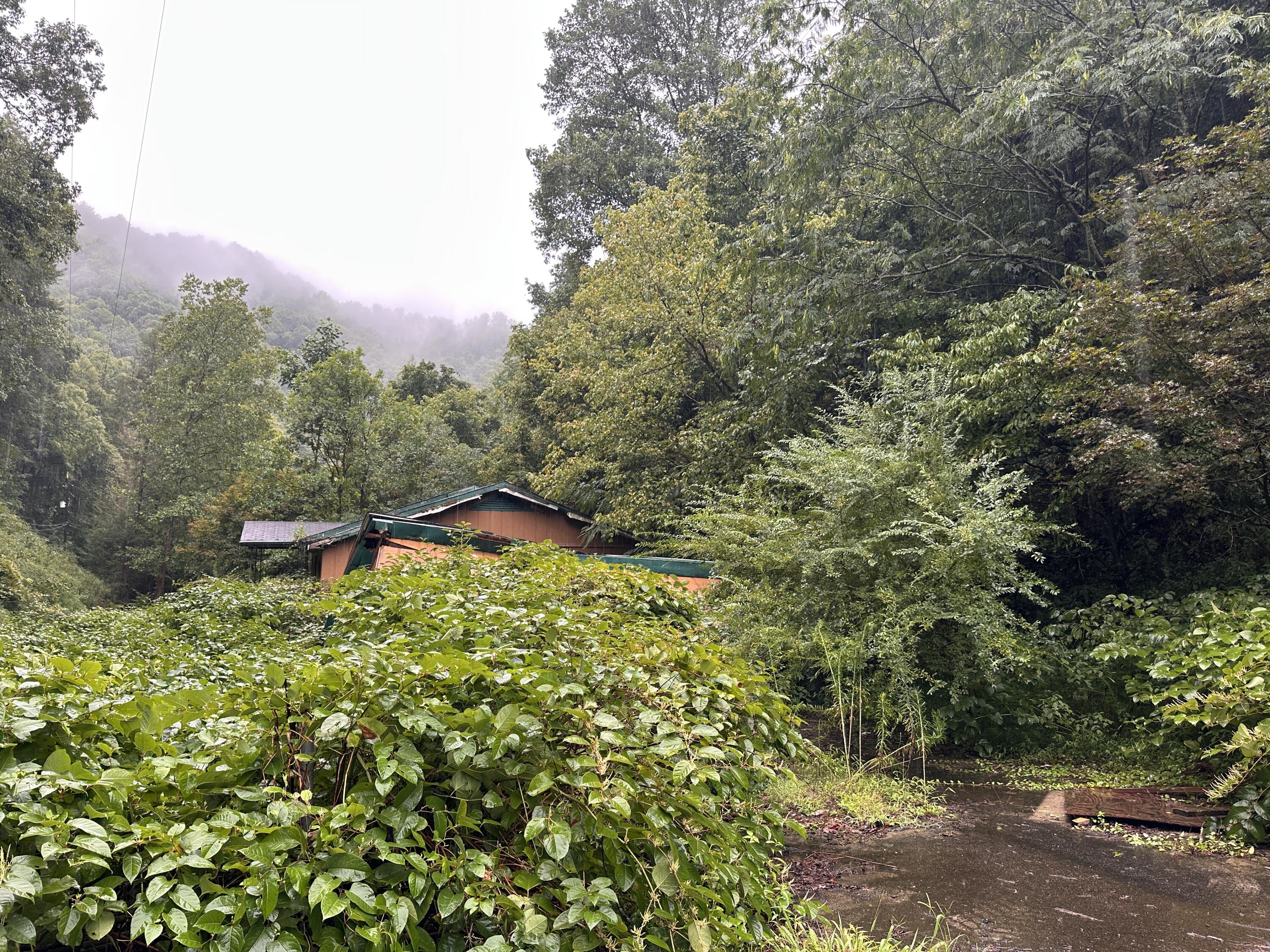 816 Road Creek Property Photo 7