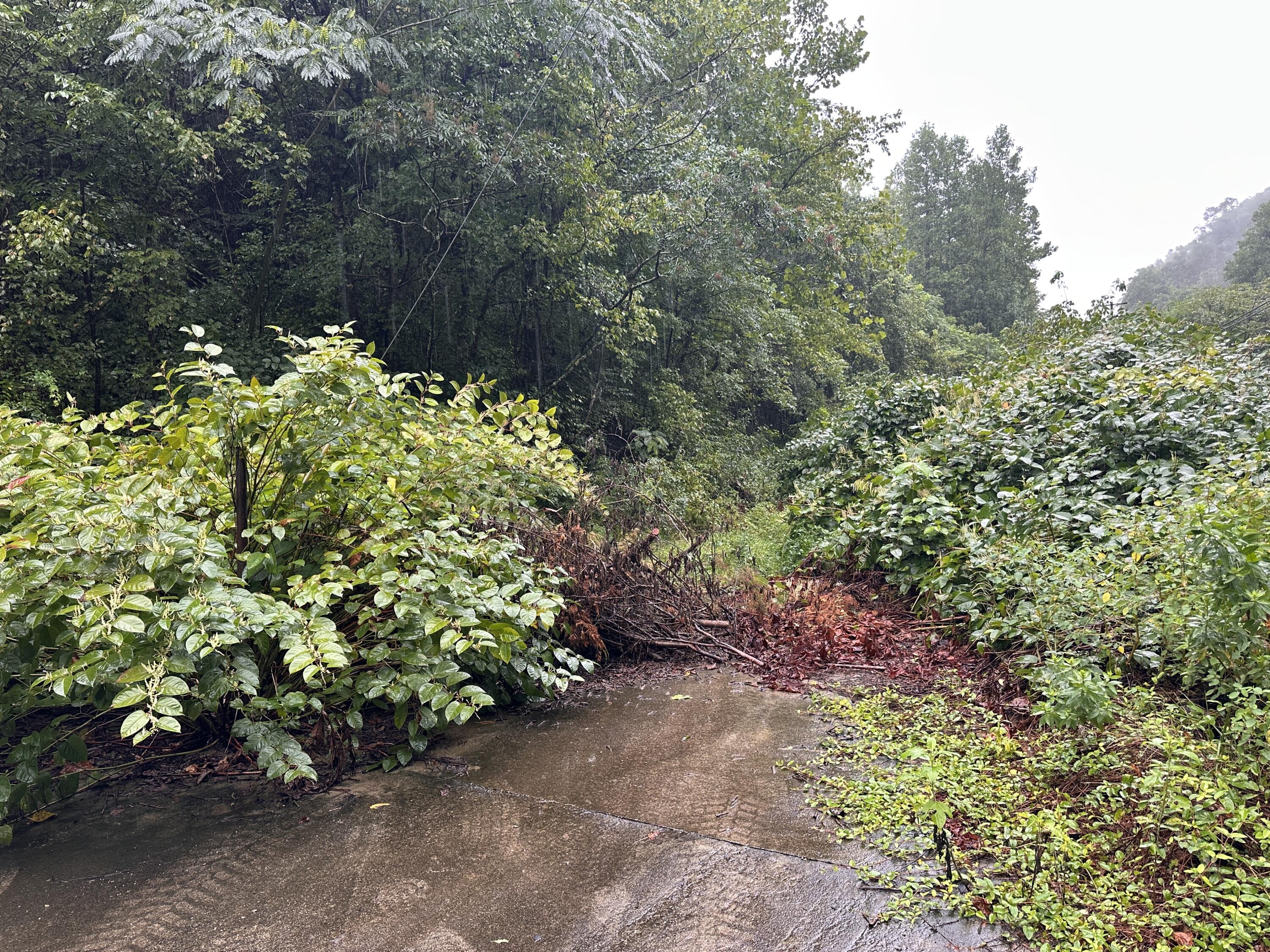 816 Road Creek Property Photo 8