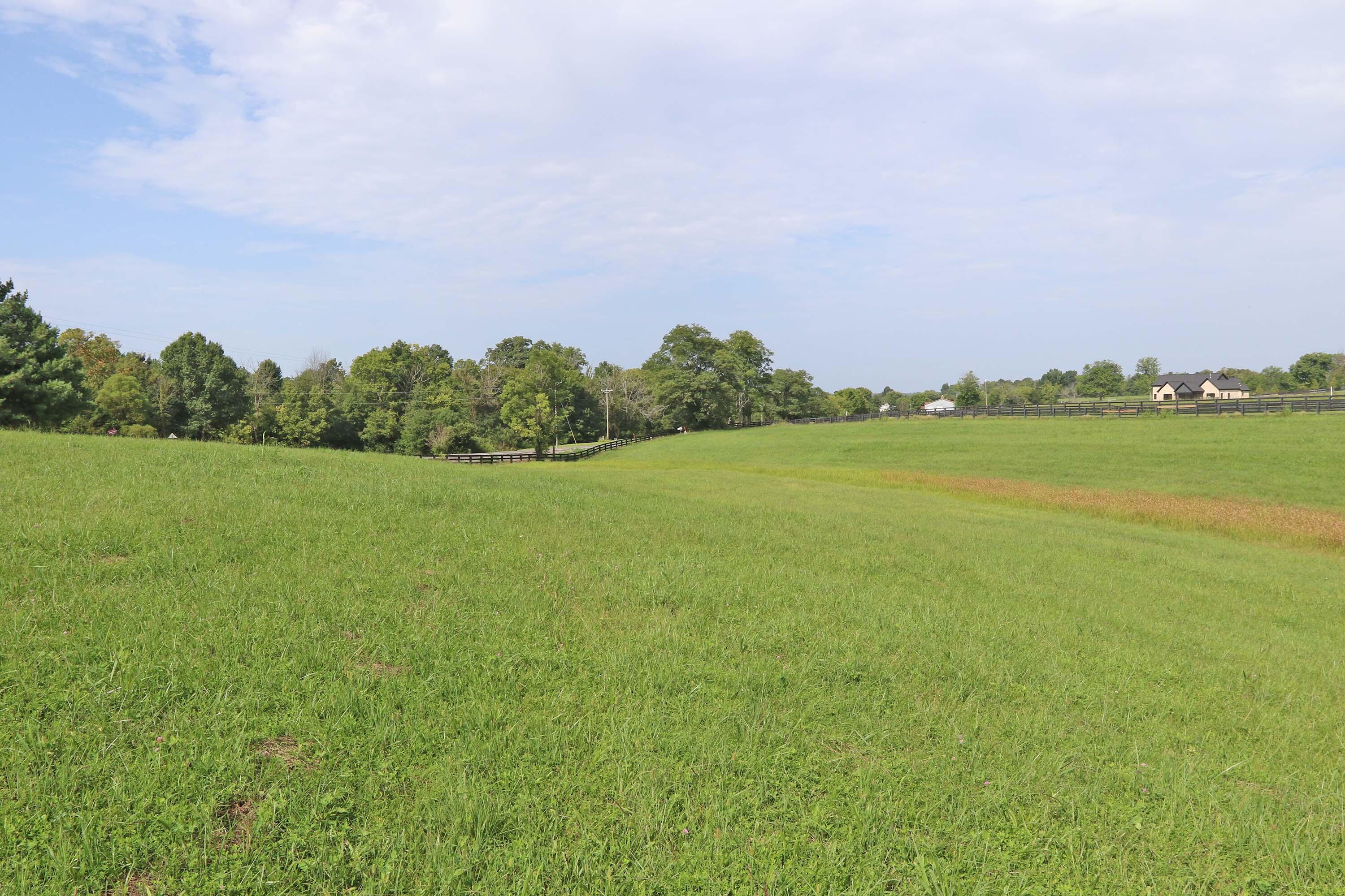 1107 Equestrian Lakes Lane Property Photo 4