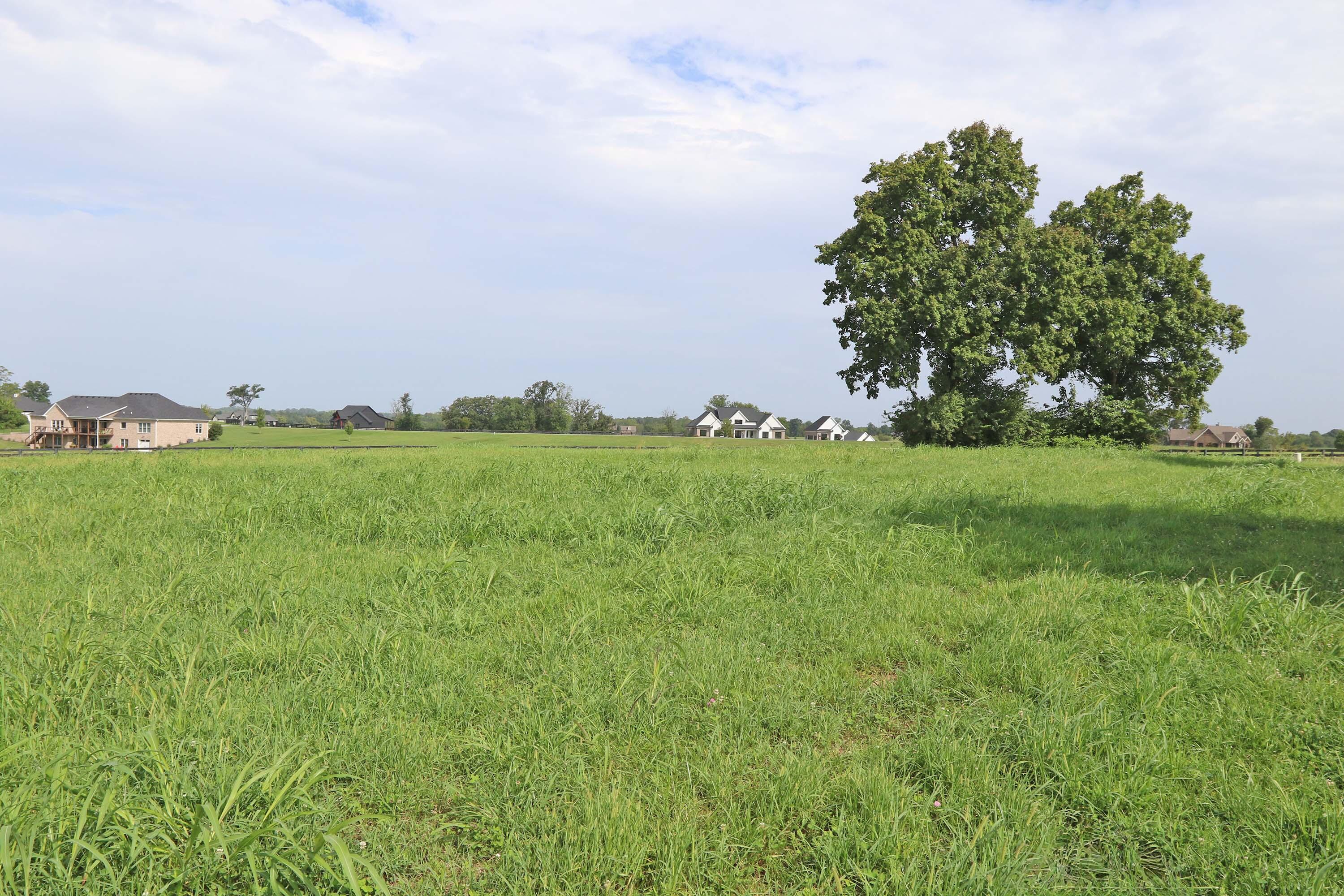 1107 Equestrian Lakes Lane Property Photo 6