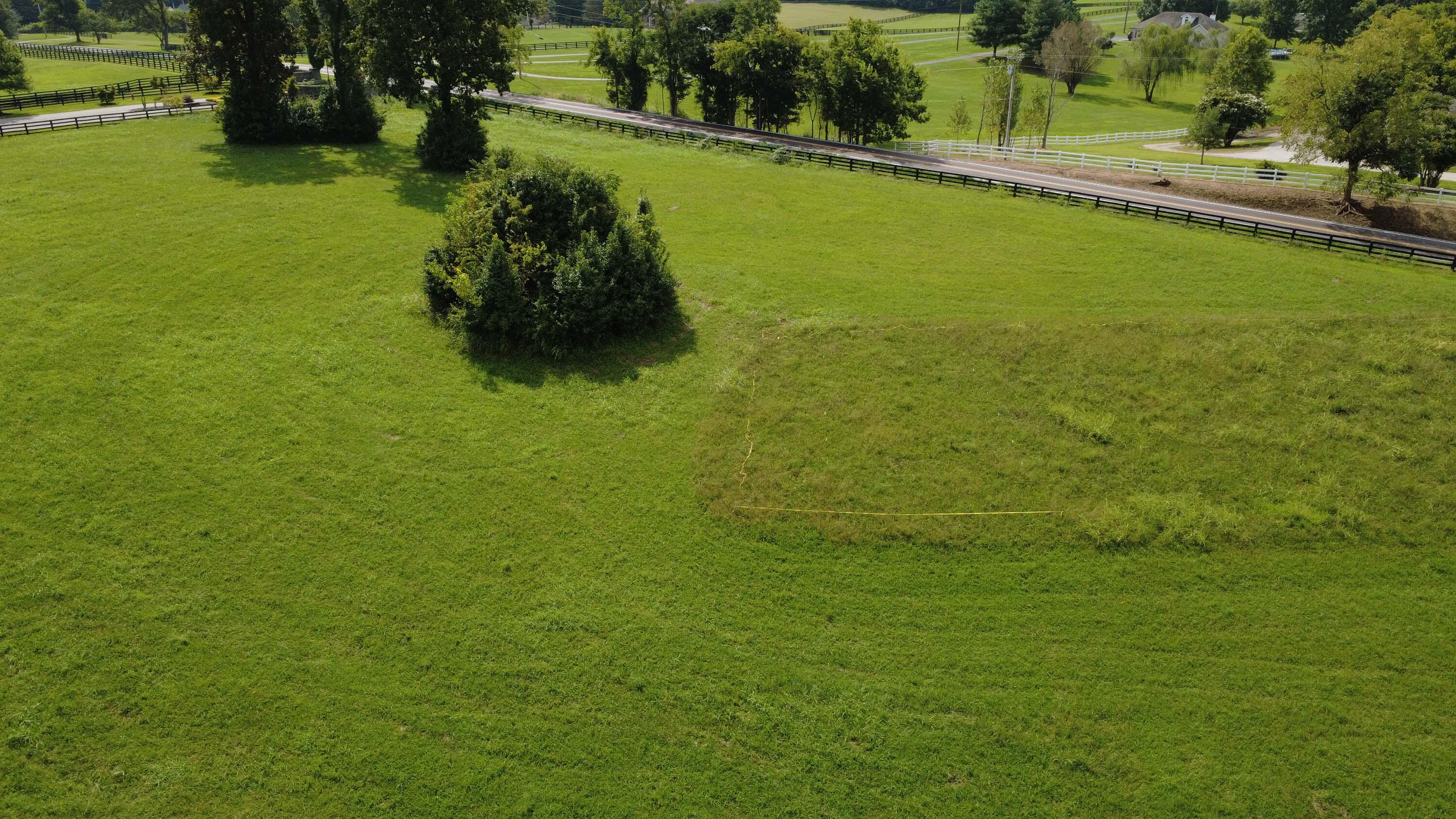 1107 Equestrian Lakes Lane Property Photo 11
