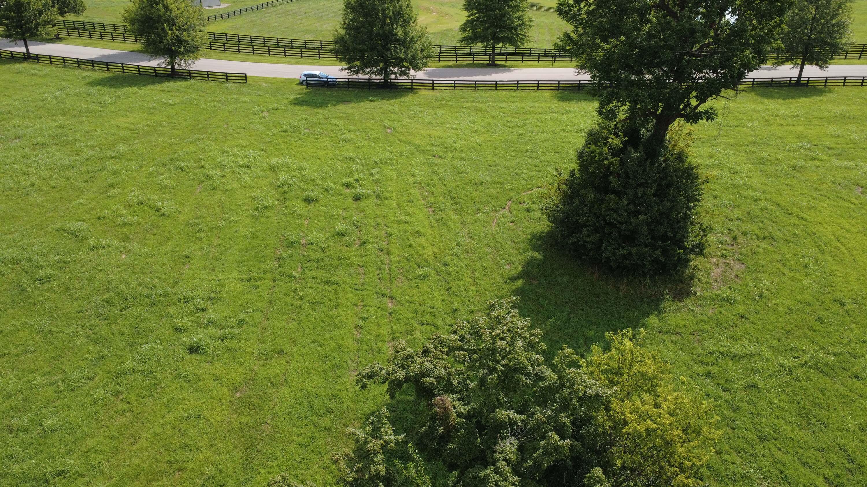 1107 Equestrian Lakes Lane Property Photo 13
