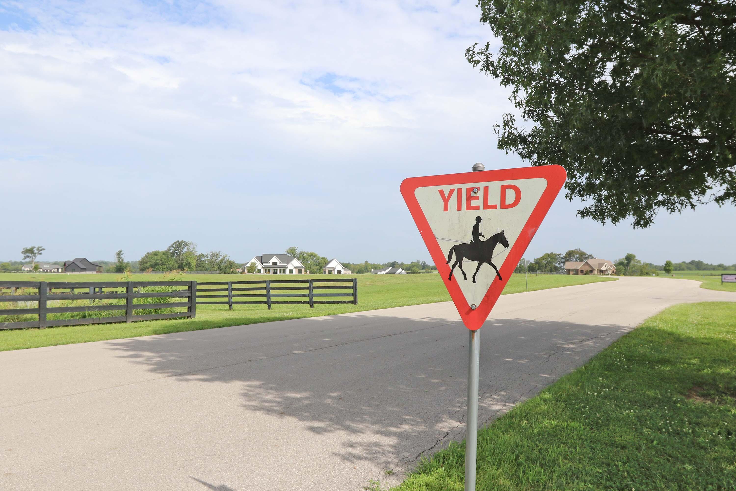 1107 Equestrian Lakes Lane Property Photo 15
